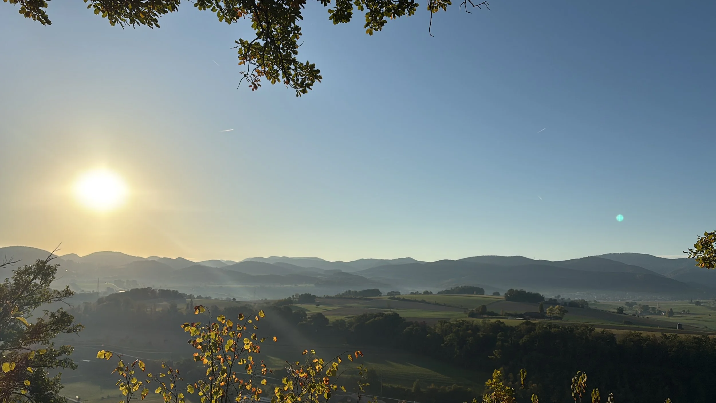 2E8EC4DF-86A4-40EF-8E15-65768C2637E9.jpeg
