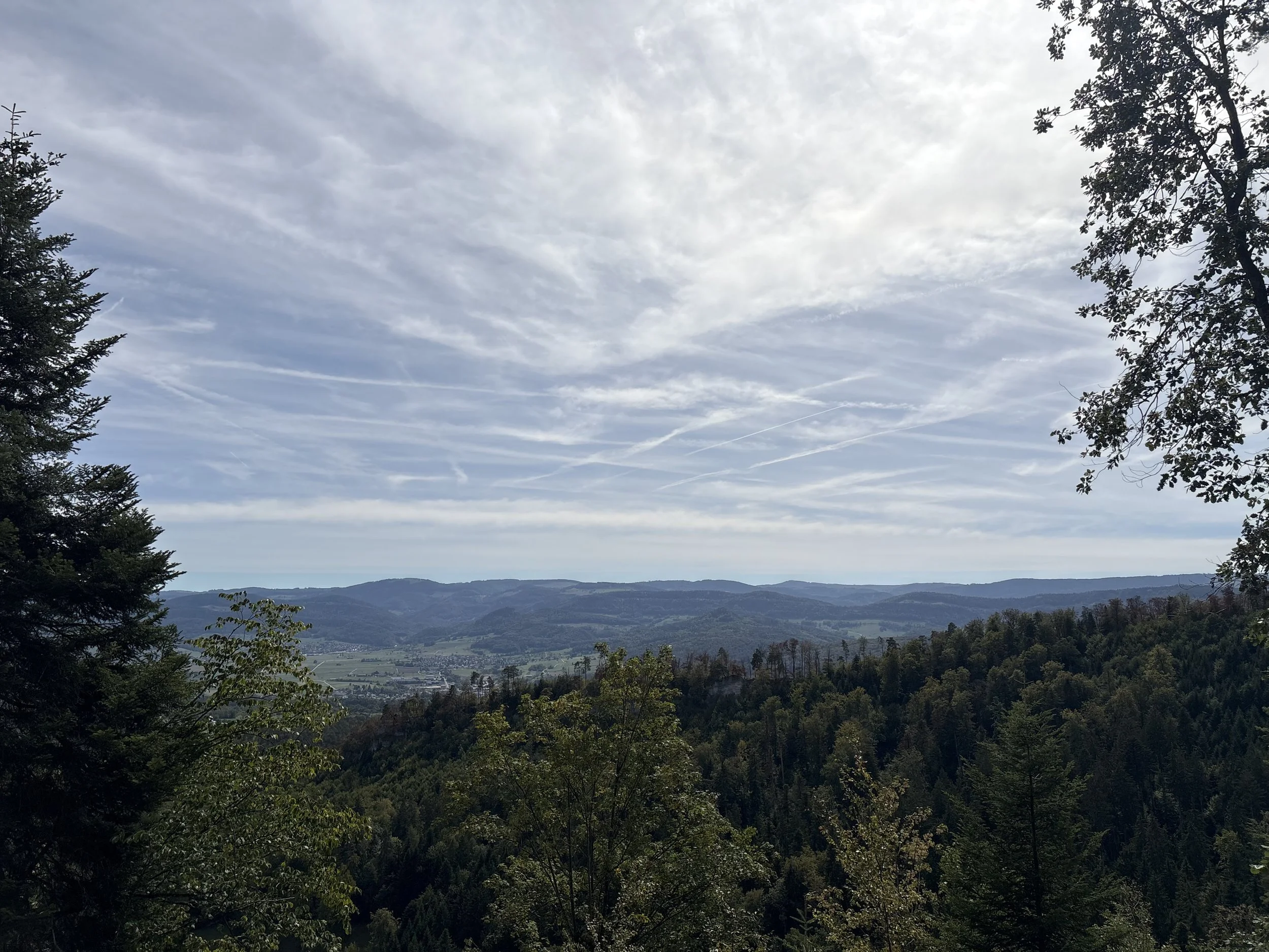IMG_1998.jpeg
