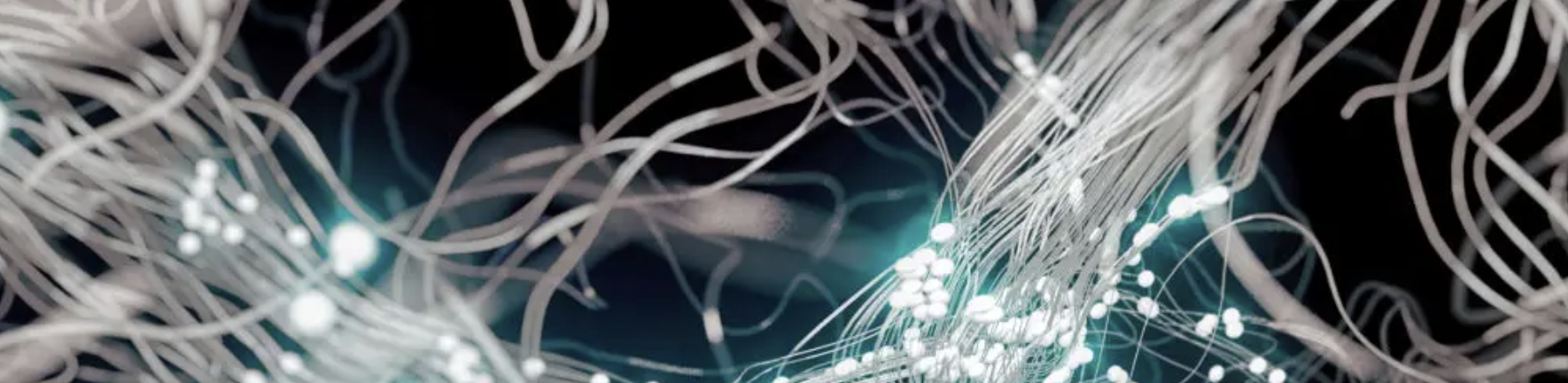 ZUHAUSE IM EIGENEN KÖRPER / YOUR BODY YOUR HOME Montag 15.Dezember