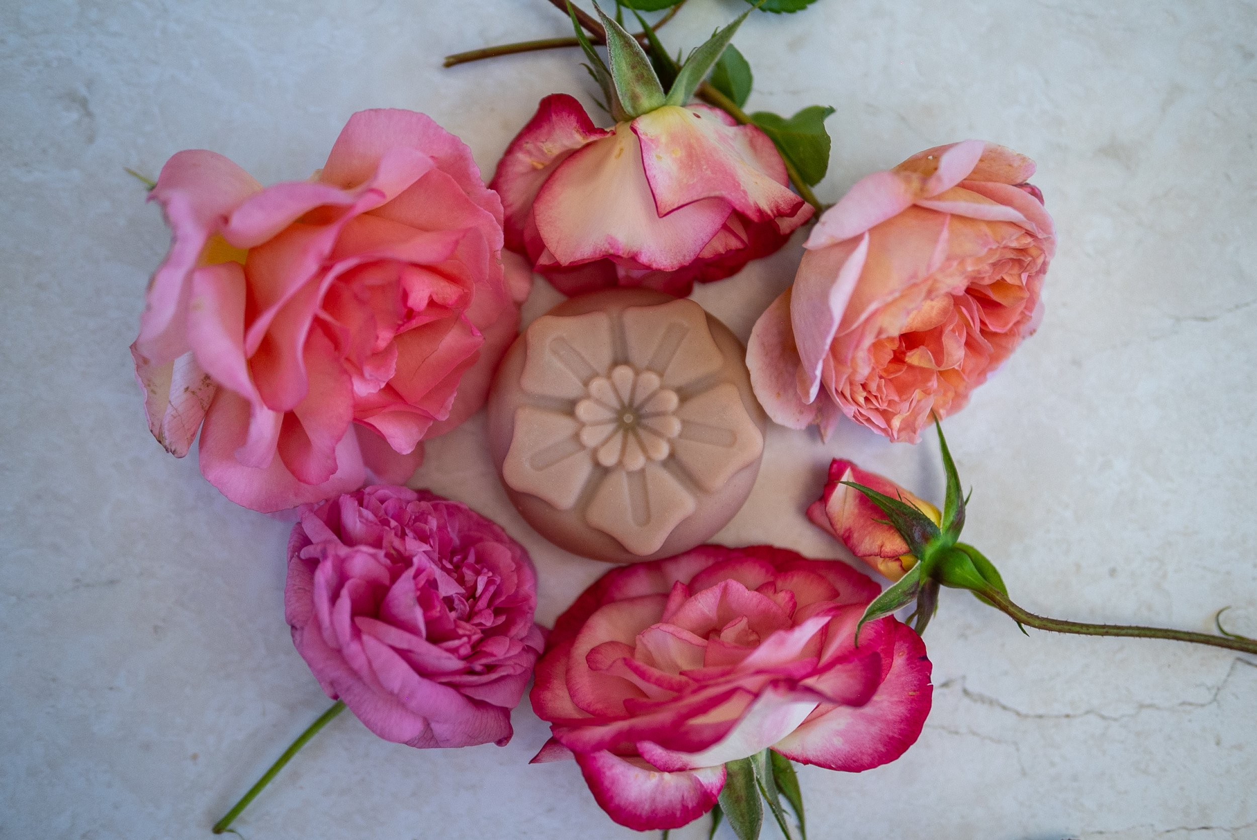 DSC_7109-Edit.jpg