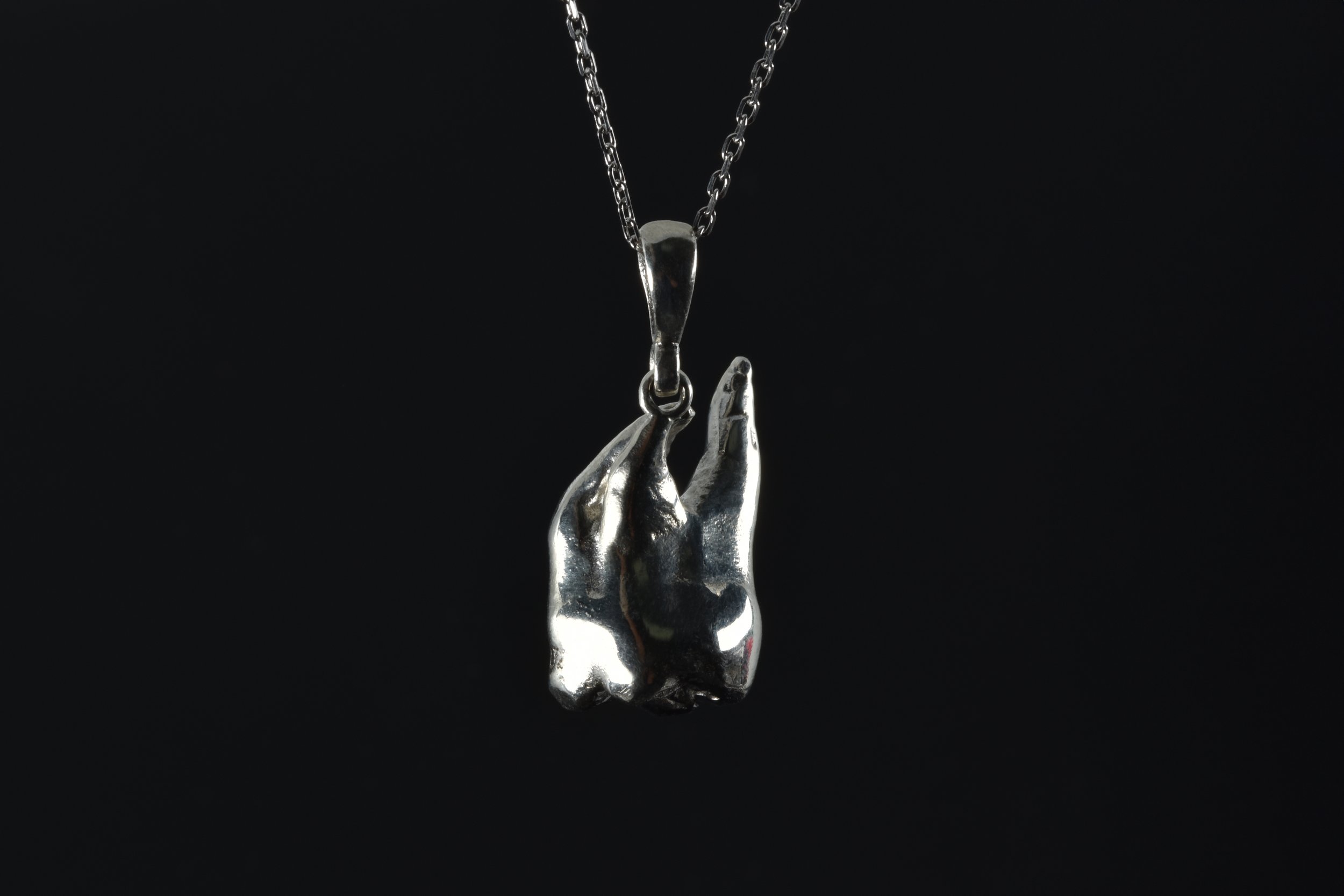 Molar Superior Dos Raíces.