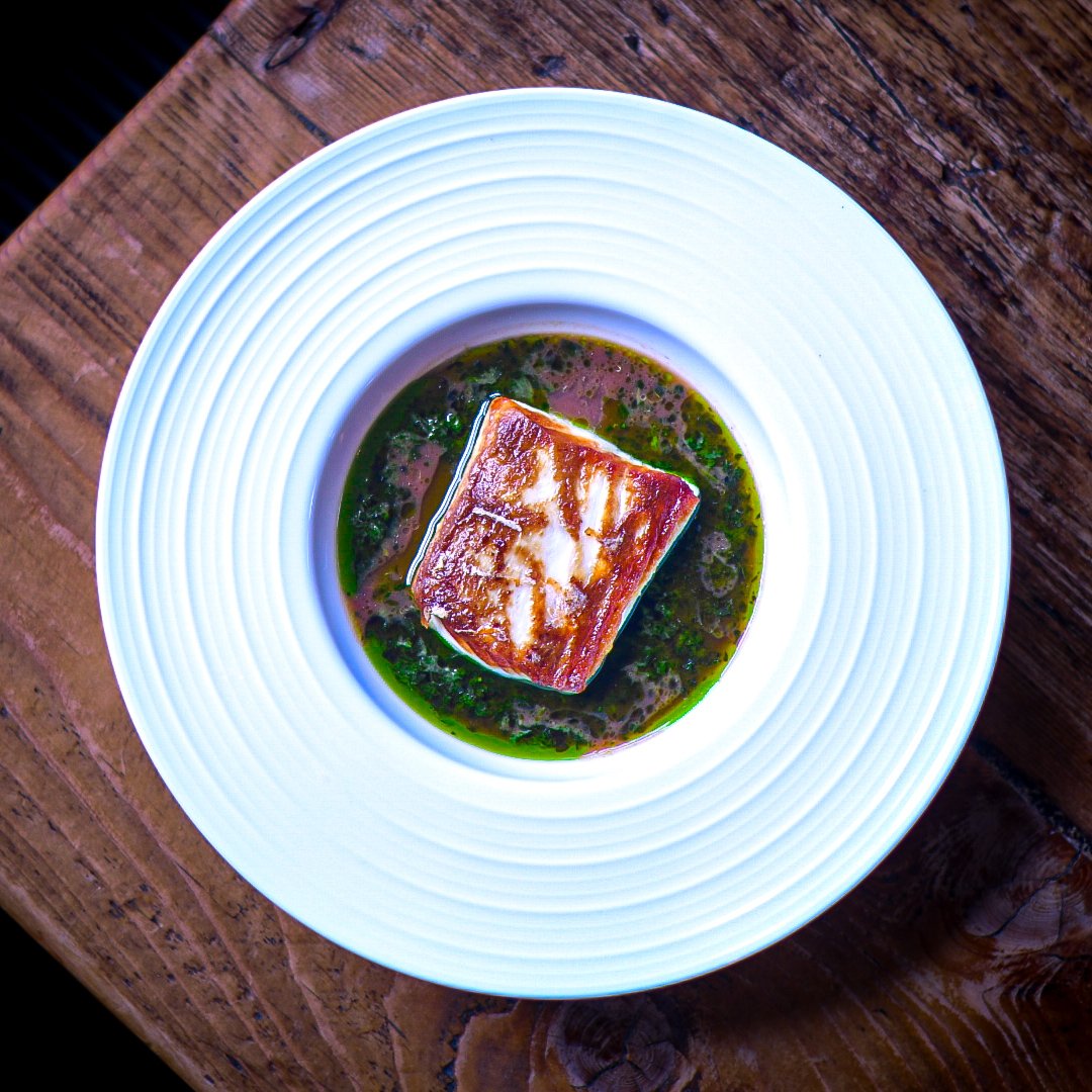 Square piece of seared fish in herb sauce on a white plate with a wooden surface underneath.
