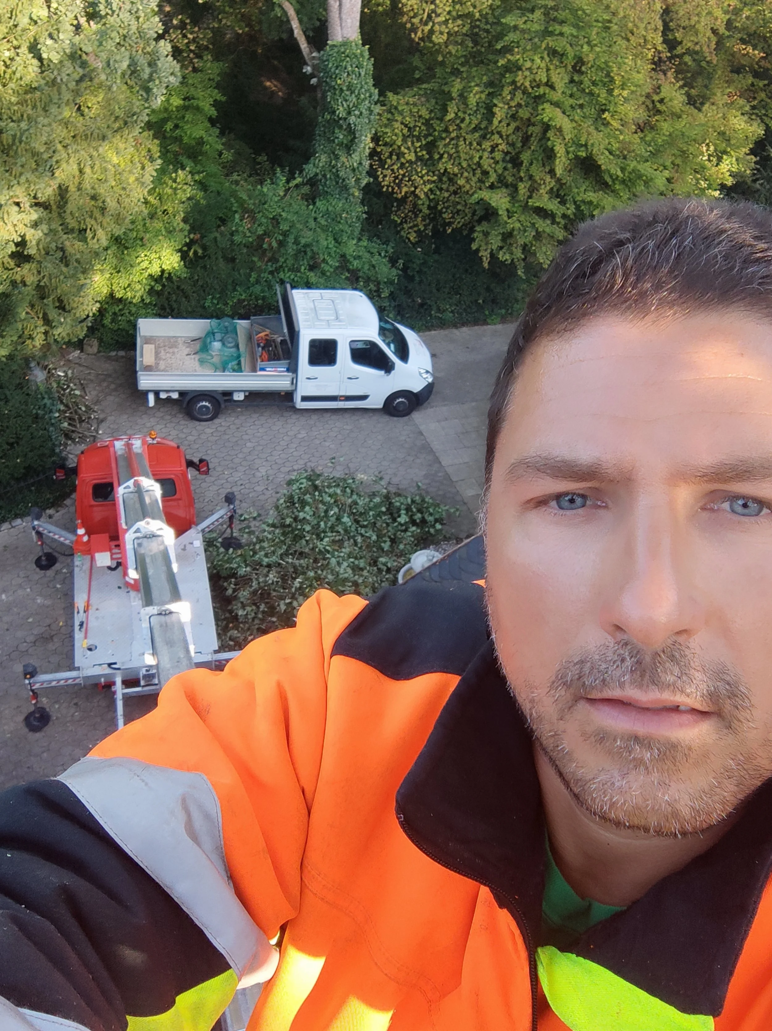 Der Meister - Freude am Schneiden erleben!