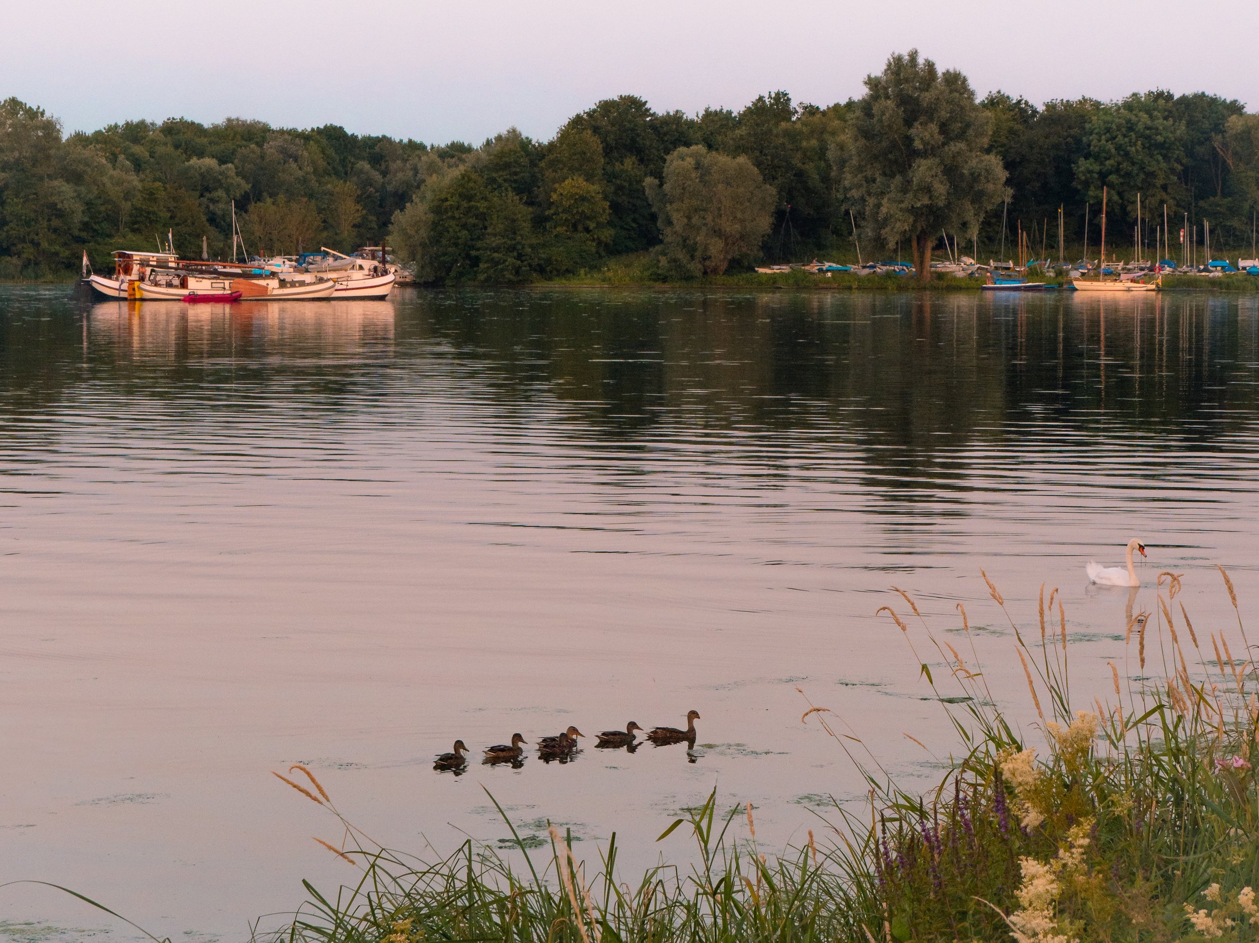 Niederlande  Eijden Naturschutzgebiet