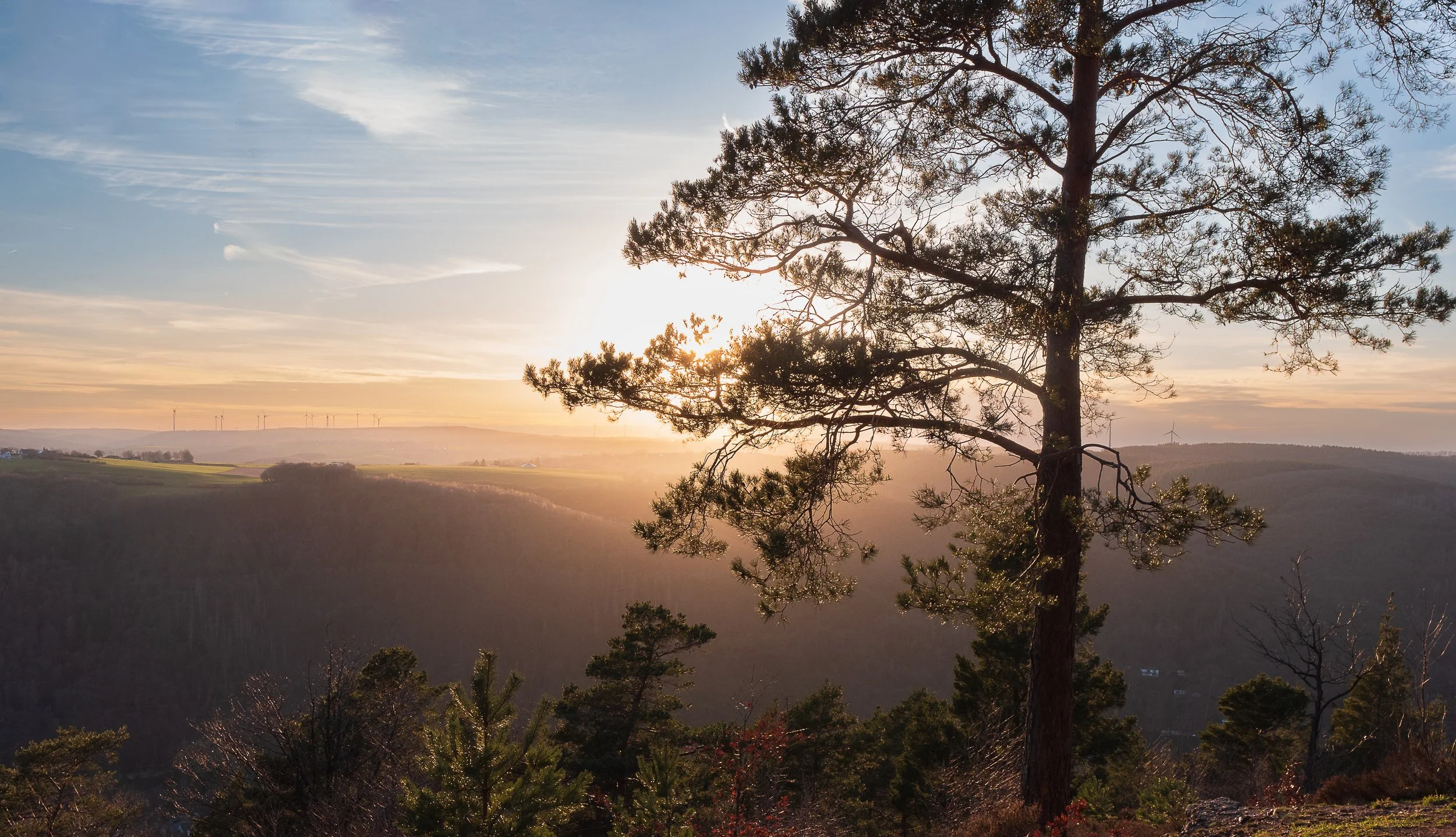 Eifel-Blick Kuhkopf, Nideggen