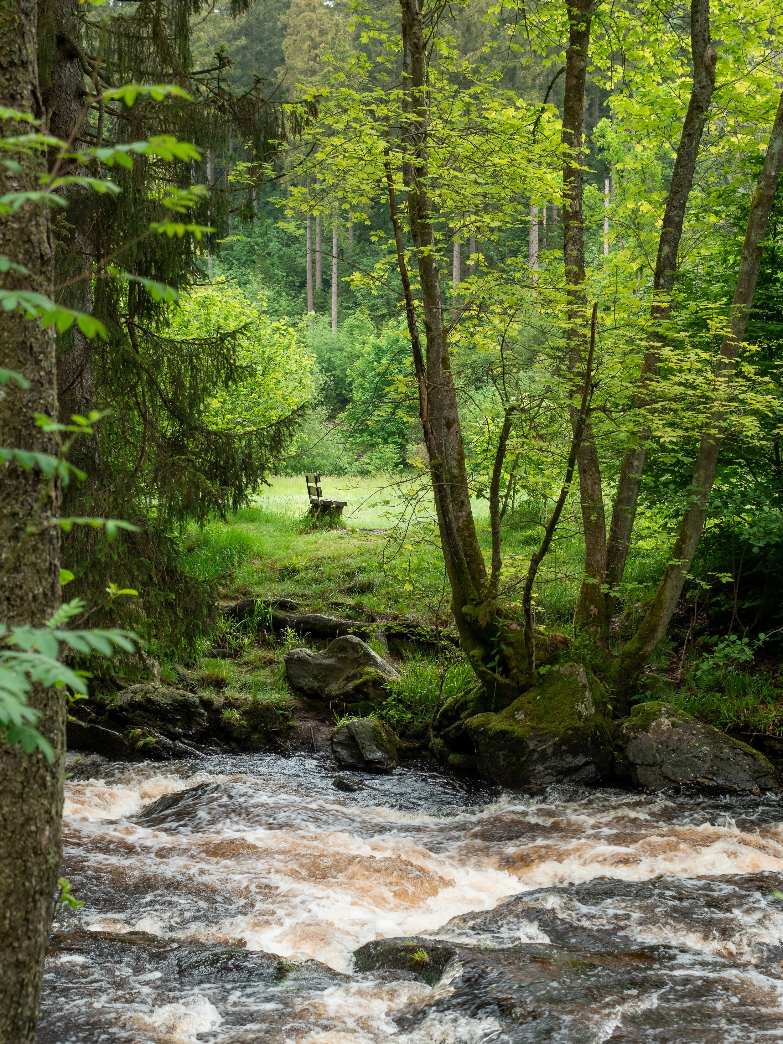 Eifel bei Monschau