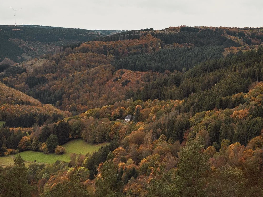 Eifel bei Rurberg