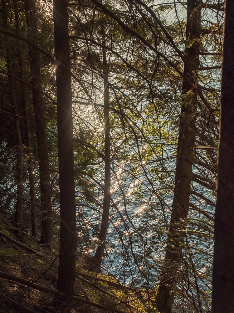 Belgien: Lac de Robertville
