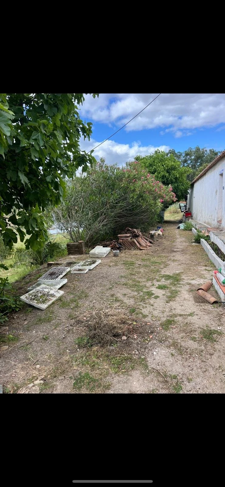 PHOTO-2024-05-15-19-13-19.jpg
