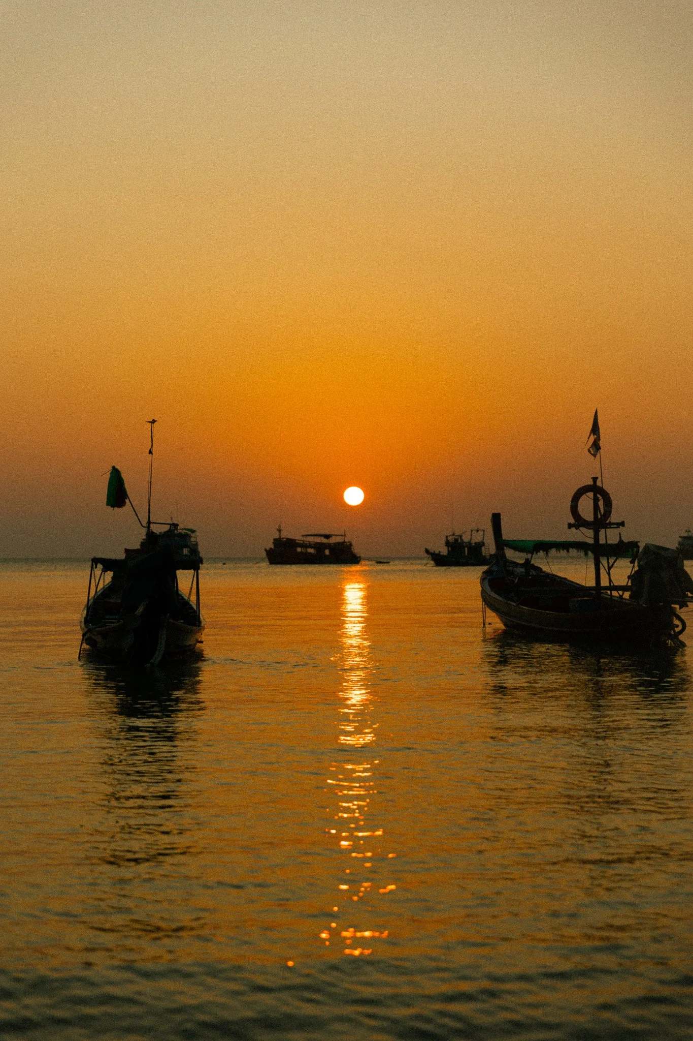2T3A9398.jpg