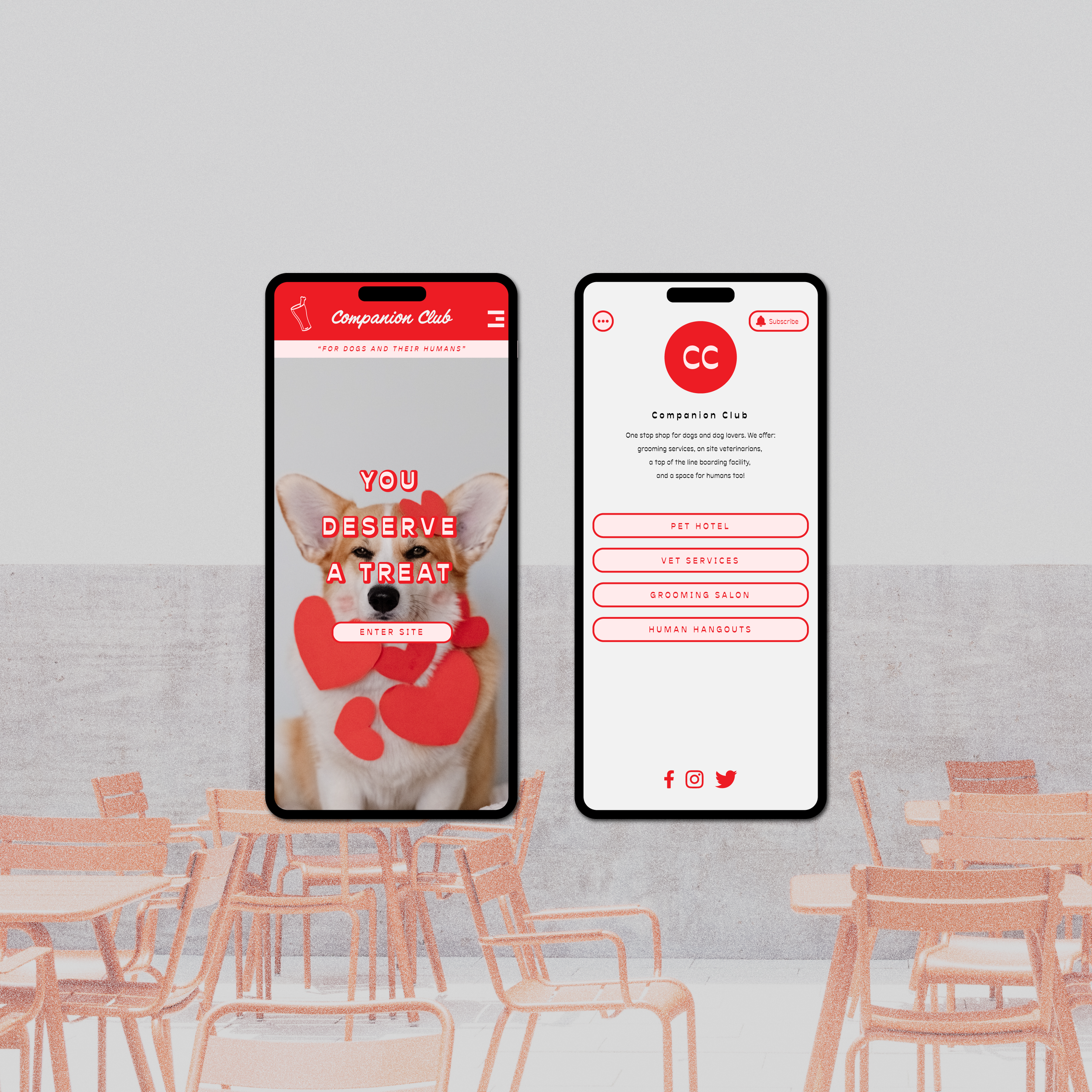 COMPANION_CLUB_mobile_1.png