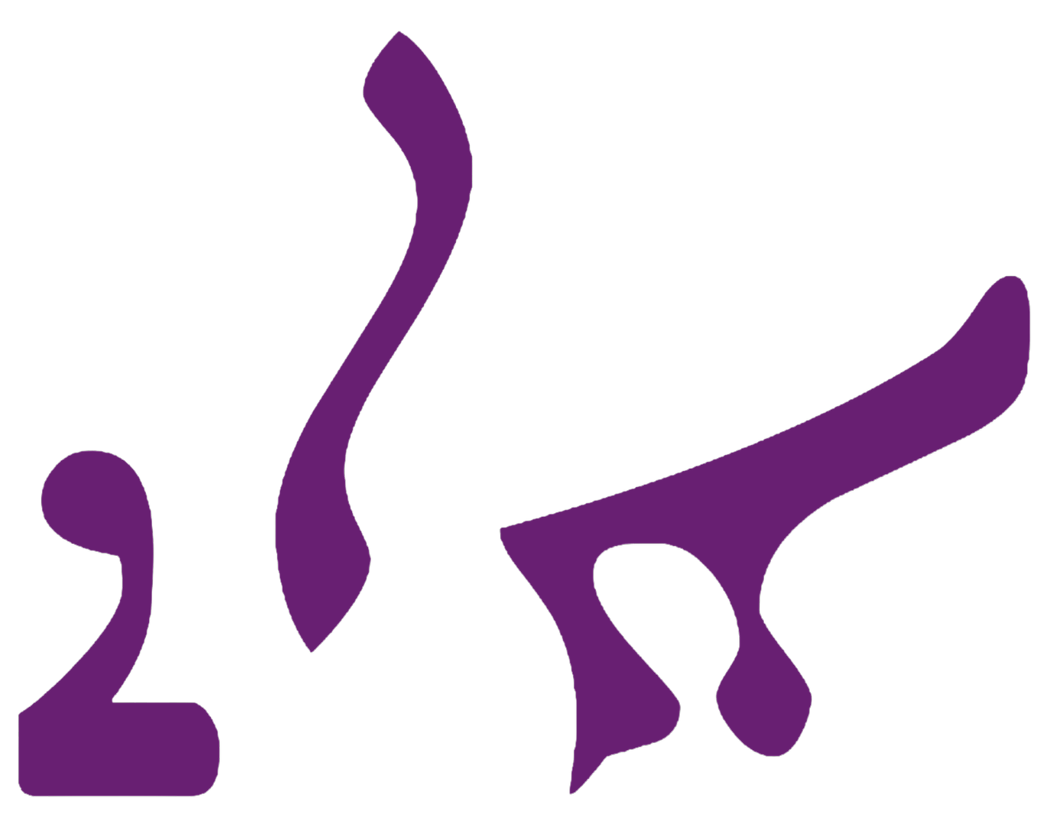 Suraye Inclusion at the University Level