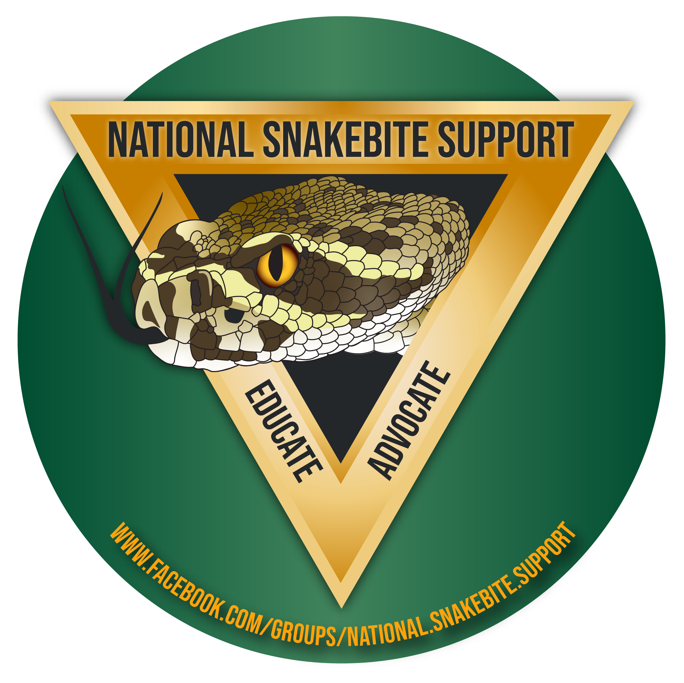 NSS Digital Logo.png