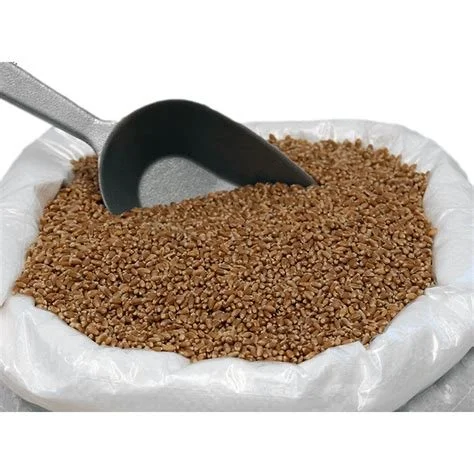 Where to Start With Whole Grains
