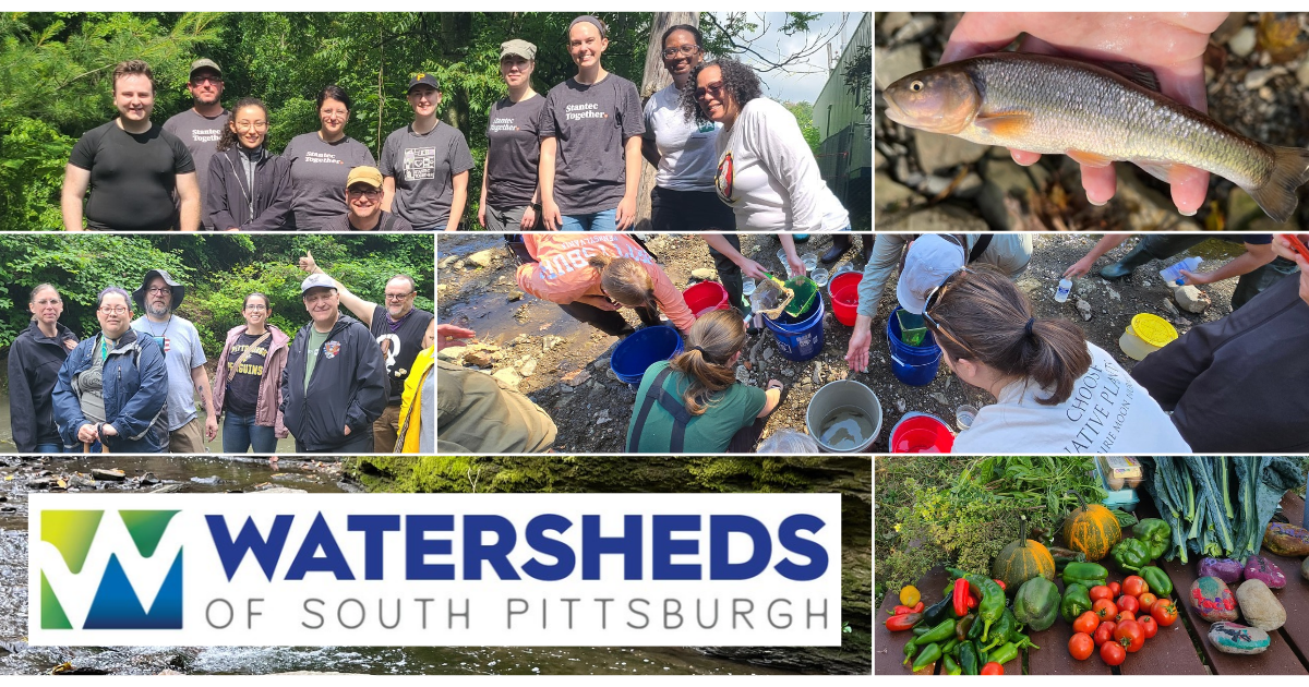 Pittsburgh Parks Conservancy & WoSPgh Clean-Up!