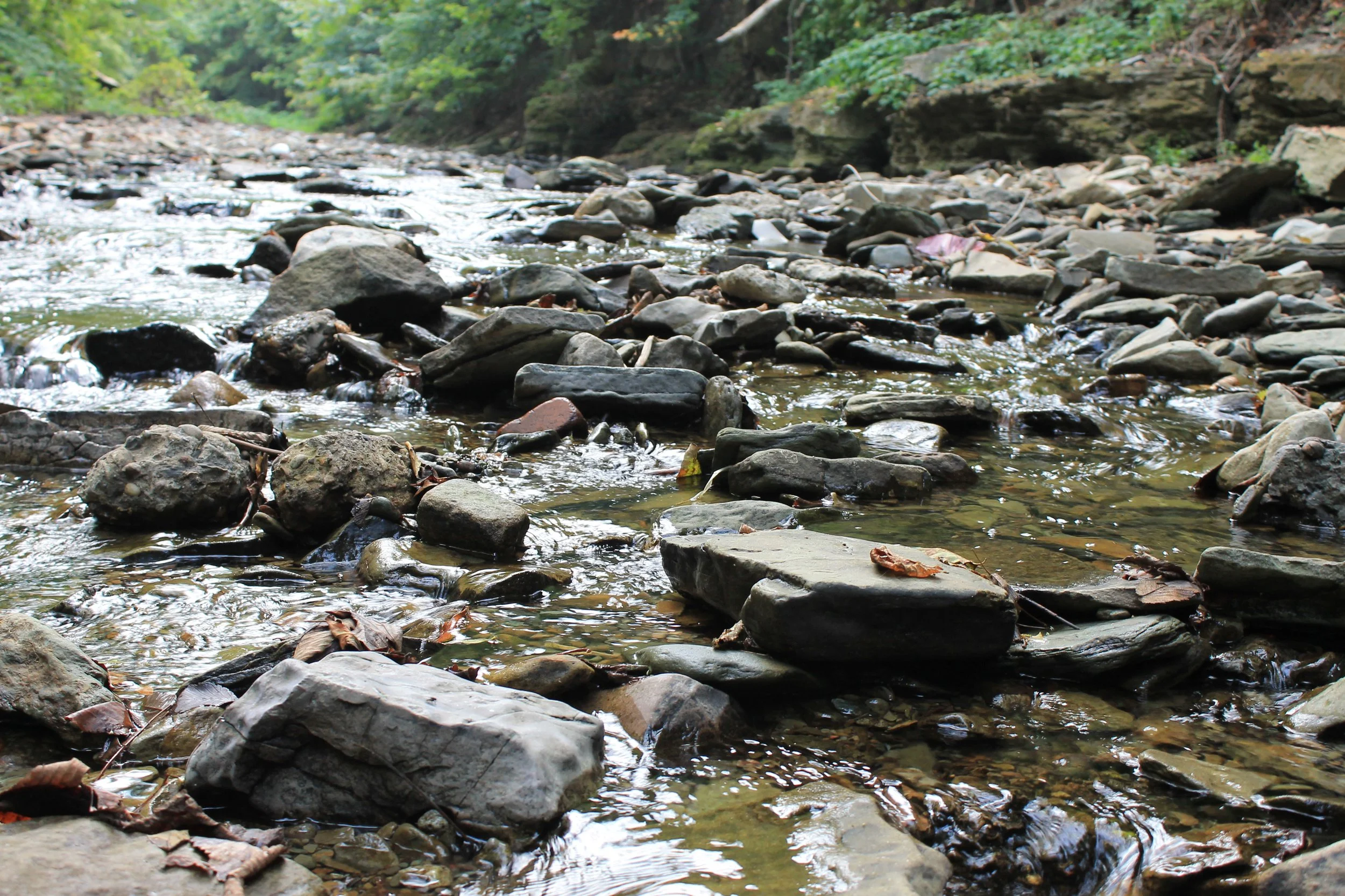 Overview — Watersheds of South Pittsburgh
