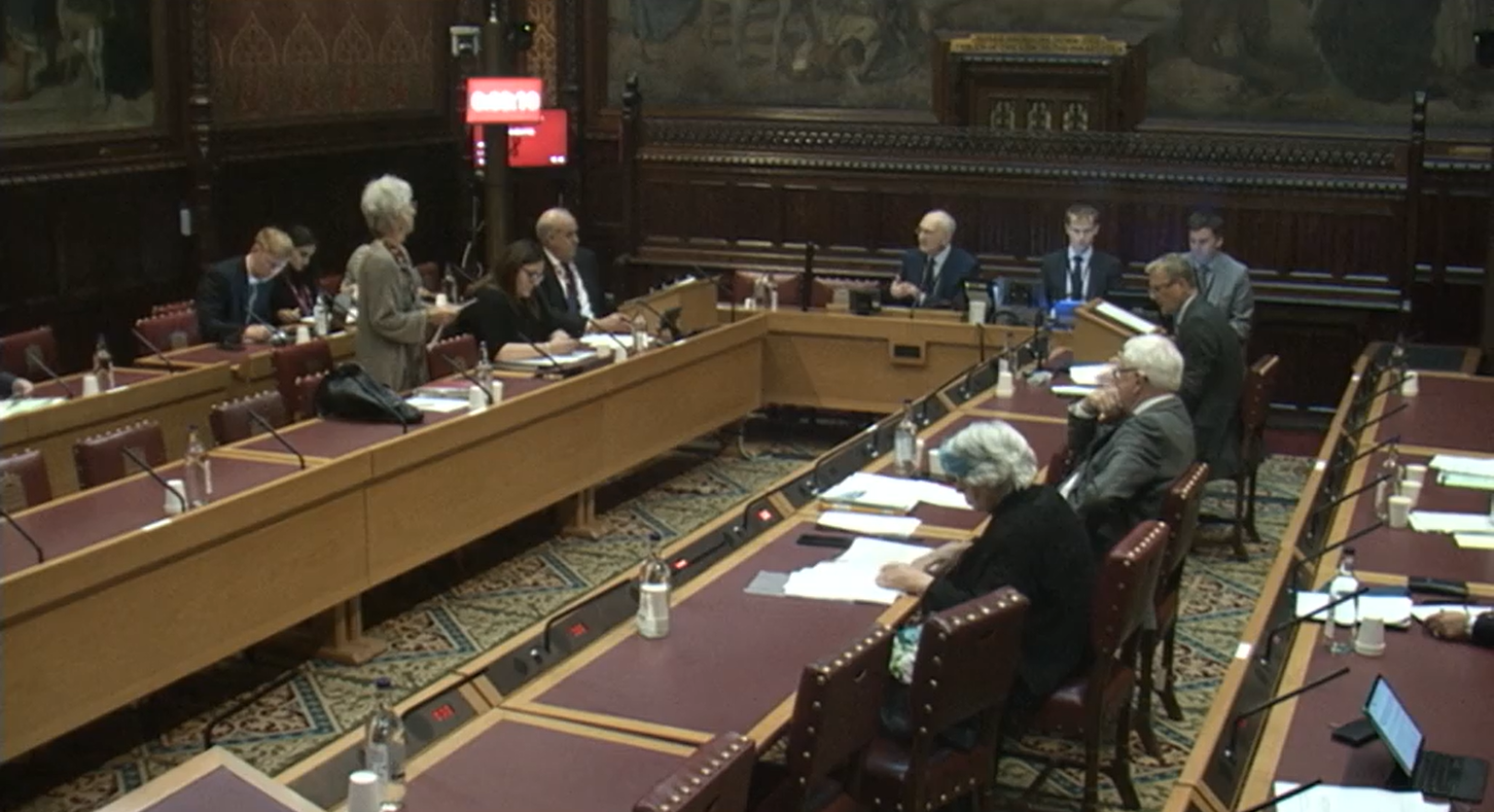 Baroness Lister Leads Lords Debate on Immigration Detention Rules and ...