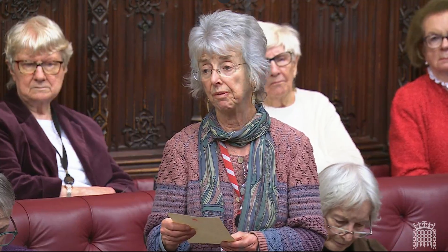 Baroness Lister Seeks Clarity on Support for Migrant Domestic Abuse Survivors