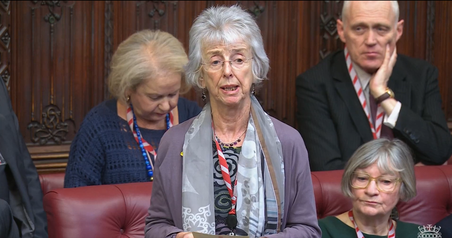 Baroness Lister Speaks at Debate on the Child Poverty Strategy