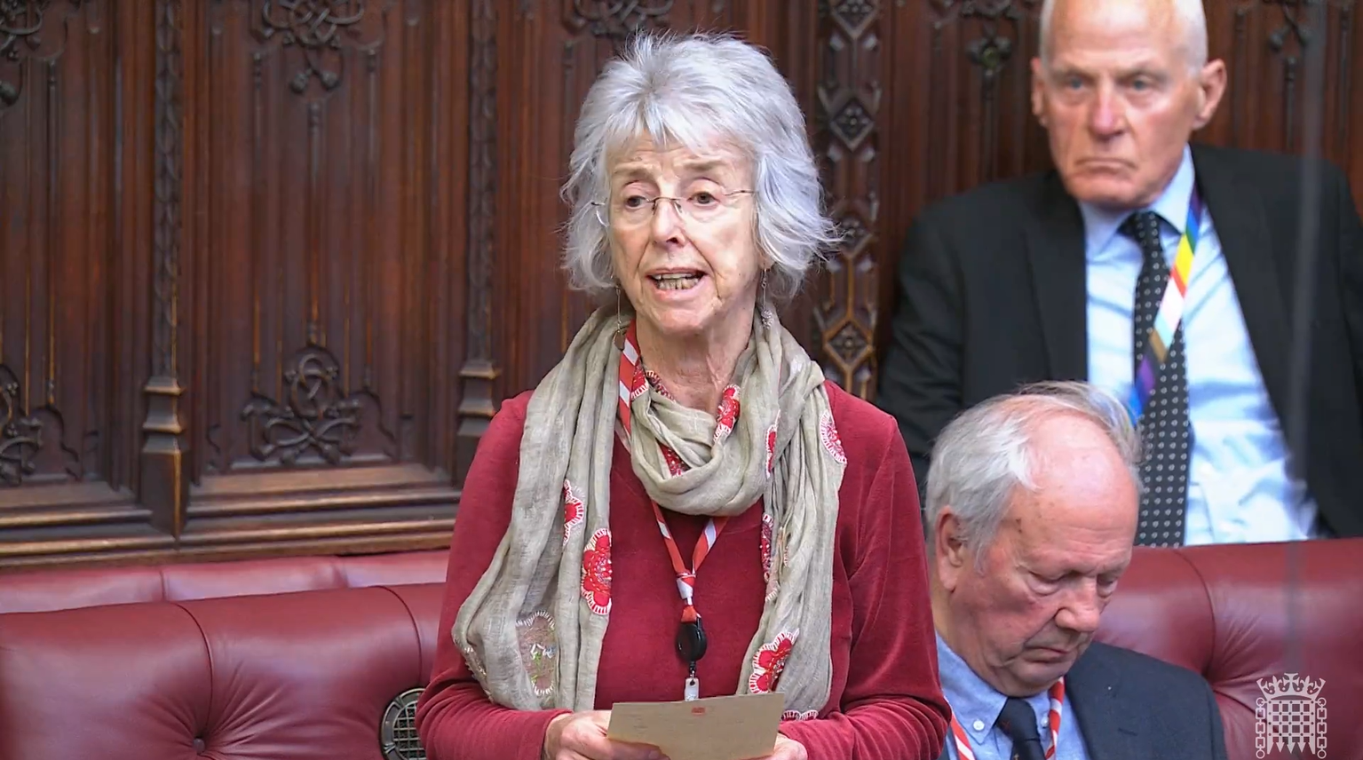 Baroness Lister Questions Government on the Impact of Asylum and Settlement Policies on Child Poverty
