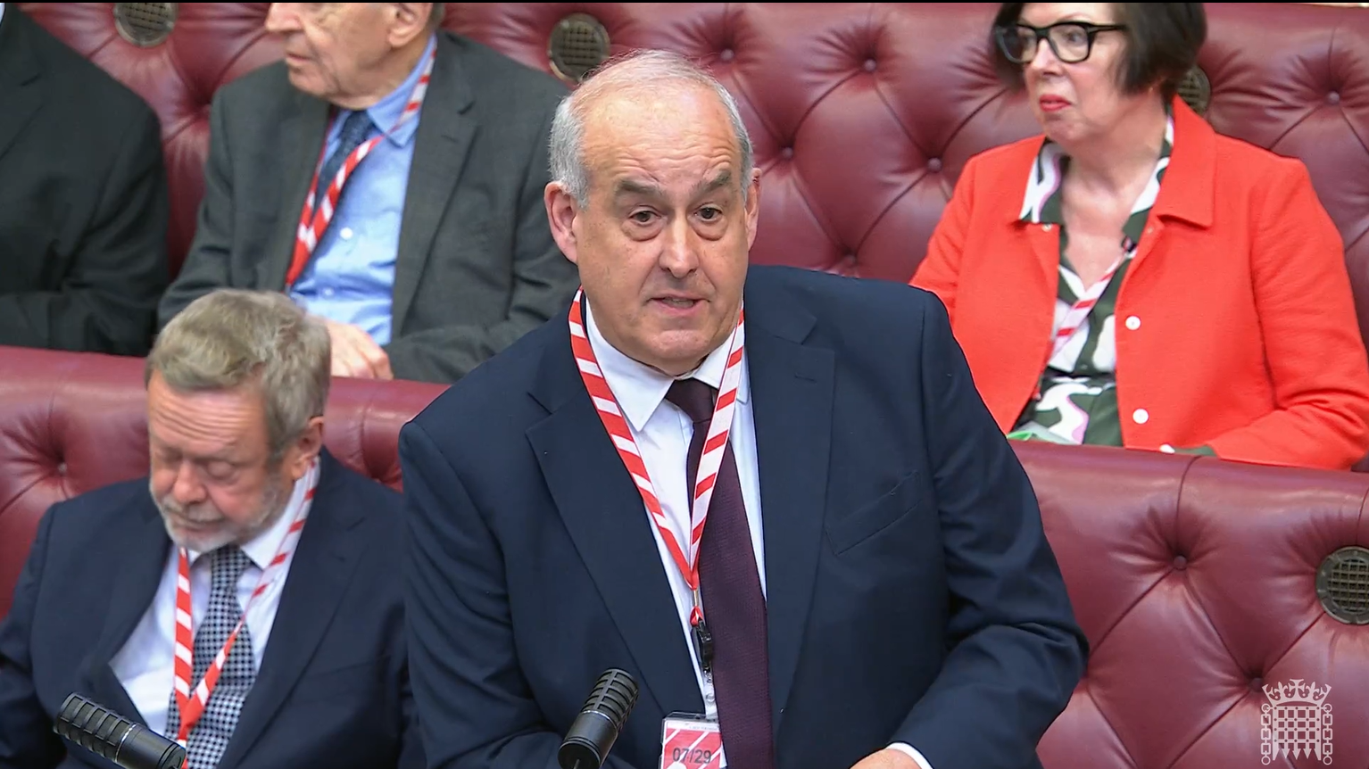 Lord Hanson speaking in the Lords Chamber