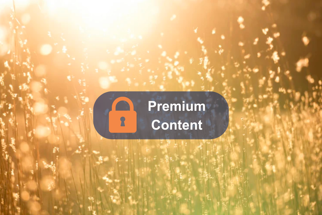 On the other side of depression…