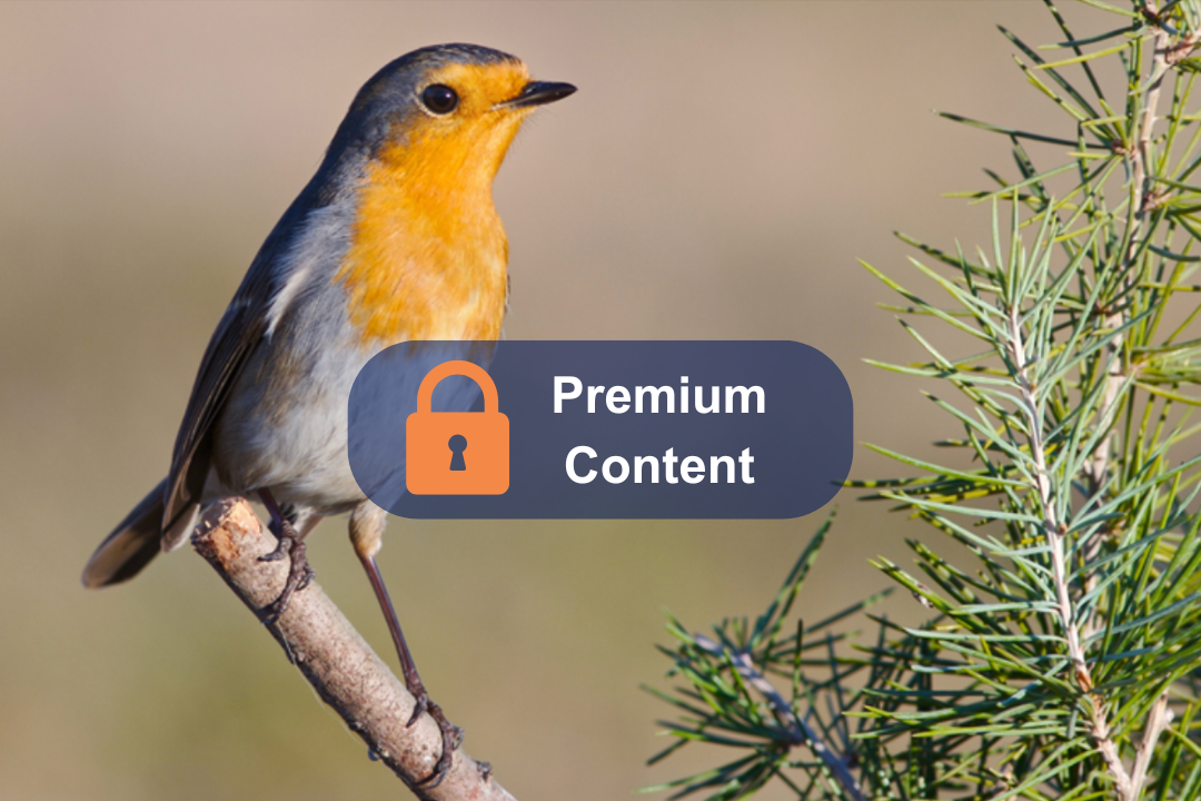 The link between hearing and dementia