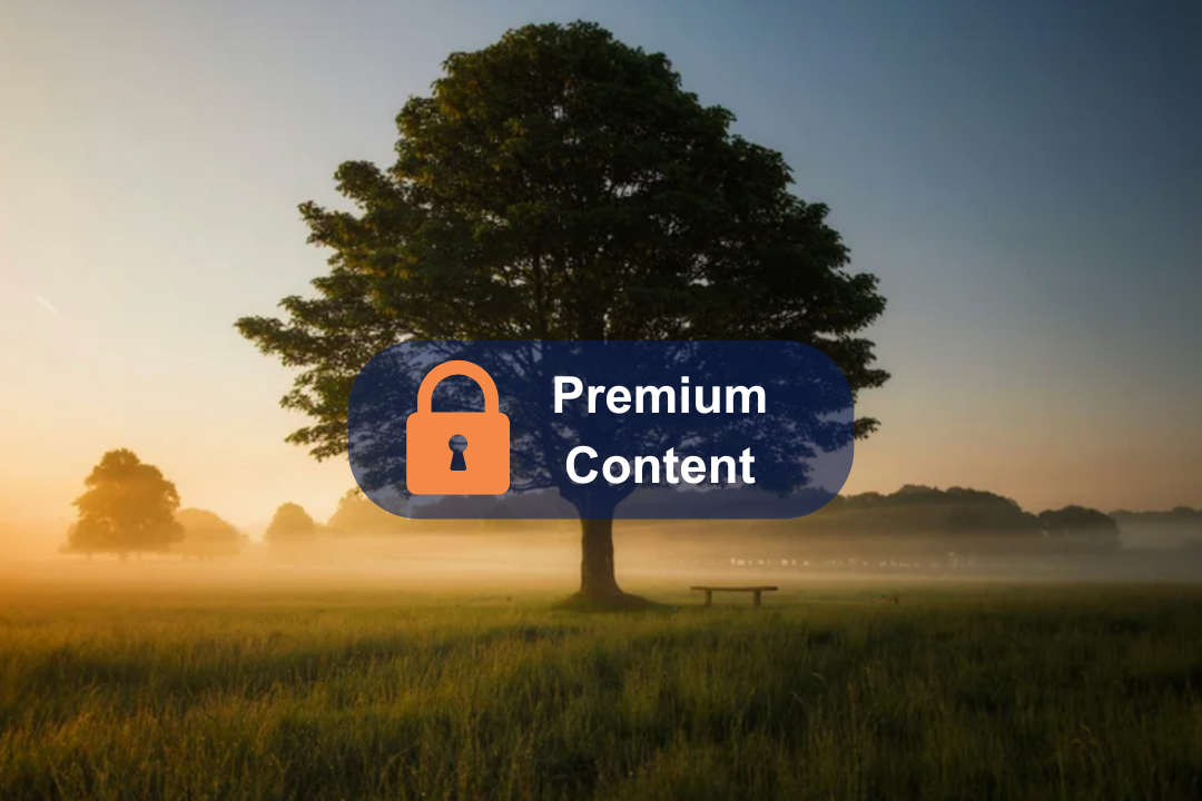 The power of your mind