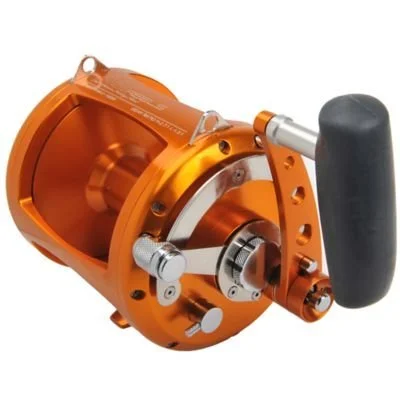 Avet EXW 80/2