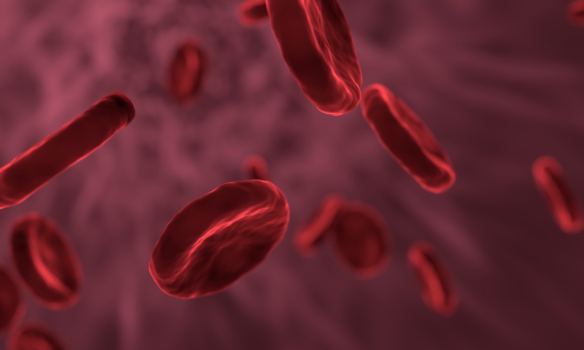Blood Runner