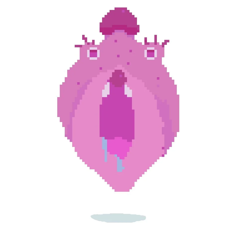 Pixel Pussy.jpeg