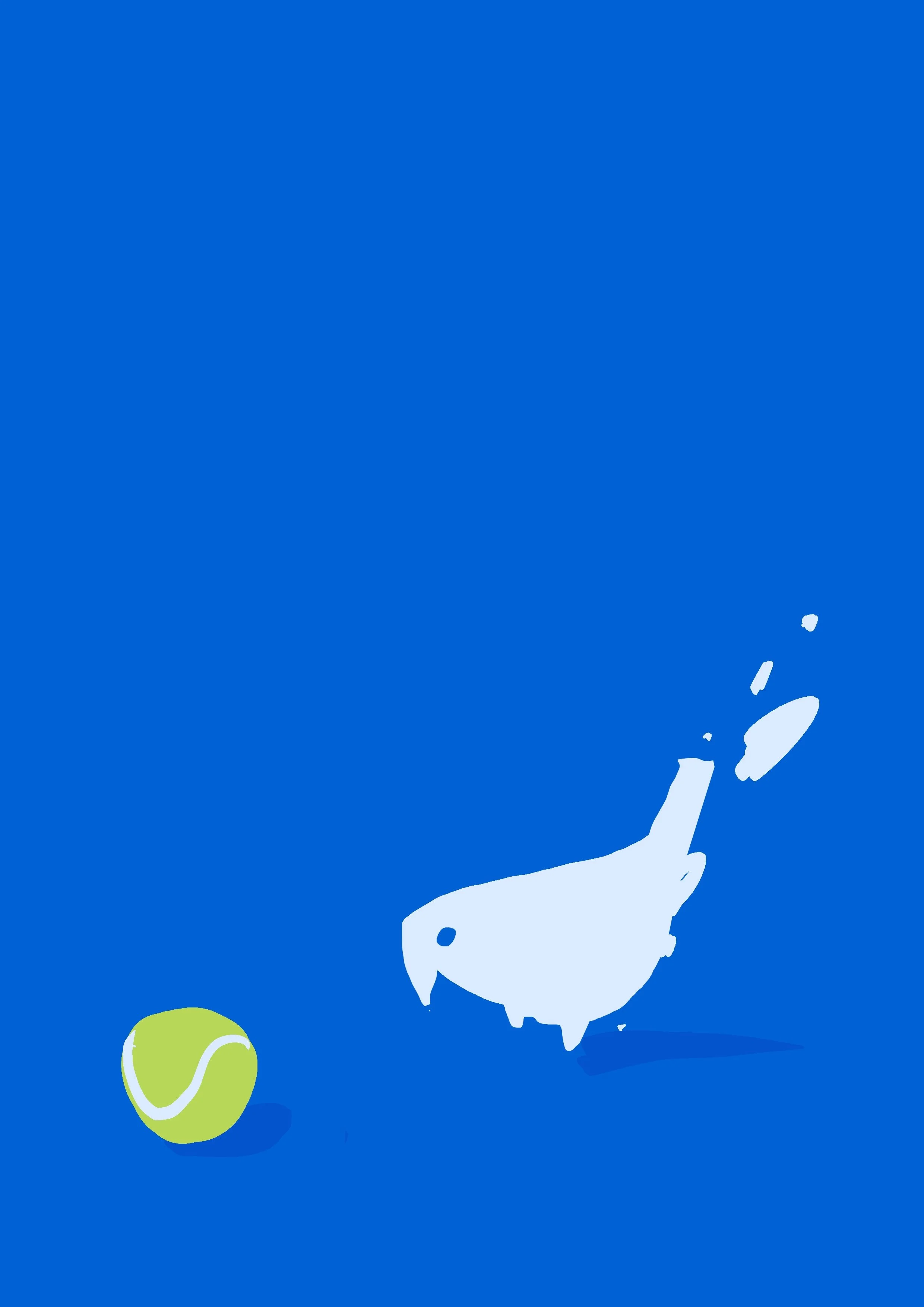 bird.JPG