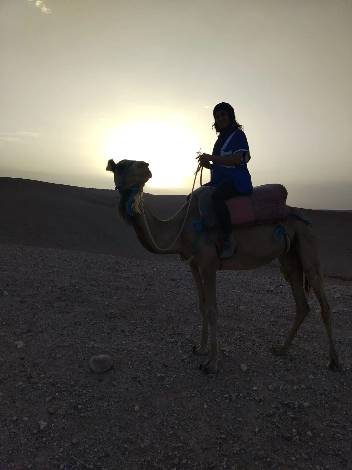 WhatsApp Image 2025-09-23 at 15.03.51 (2).jpeg