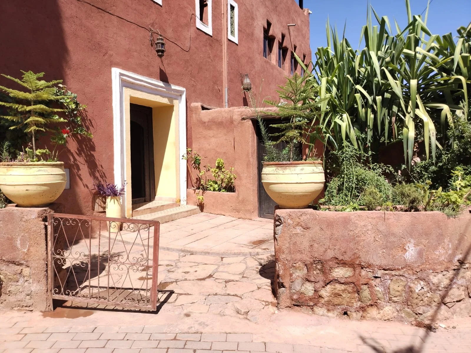 WhatsApp Image 2025-09-23 at 15.07.09.jpeg