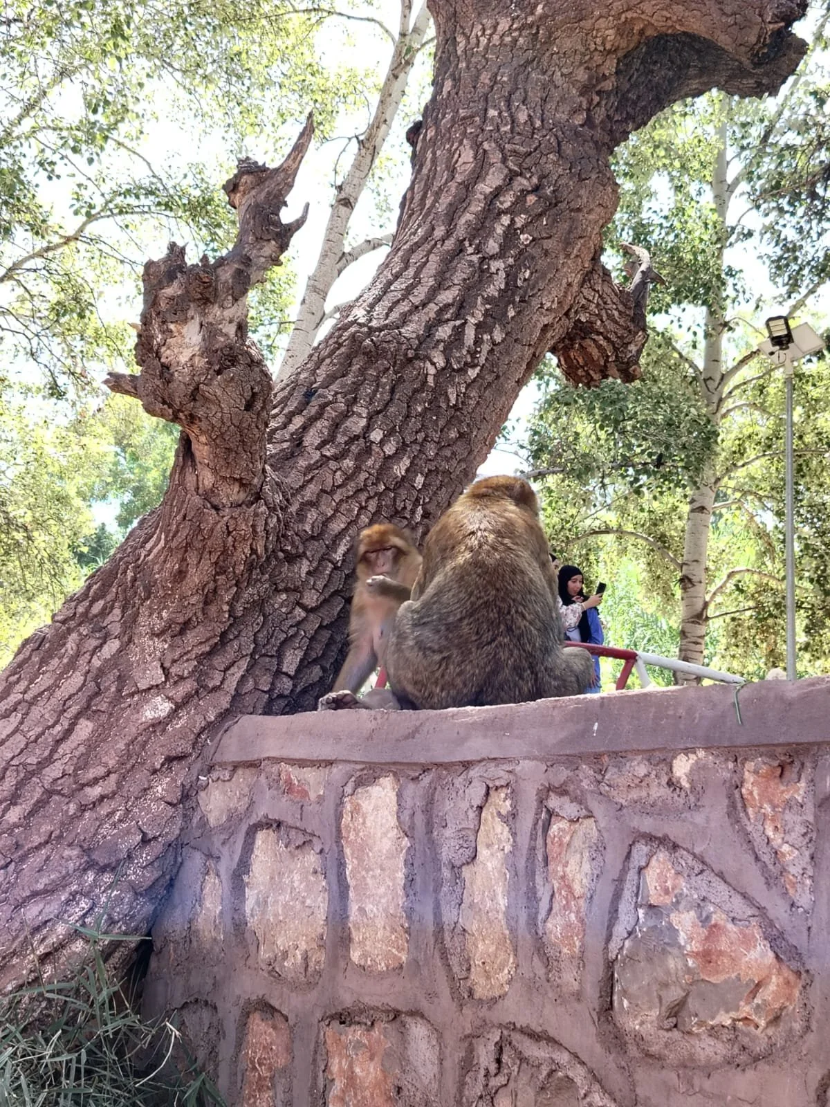 WhatsApp Image 2025-09-23 at 15.07.10.jpeg