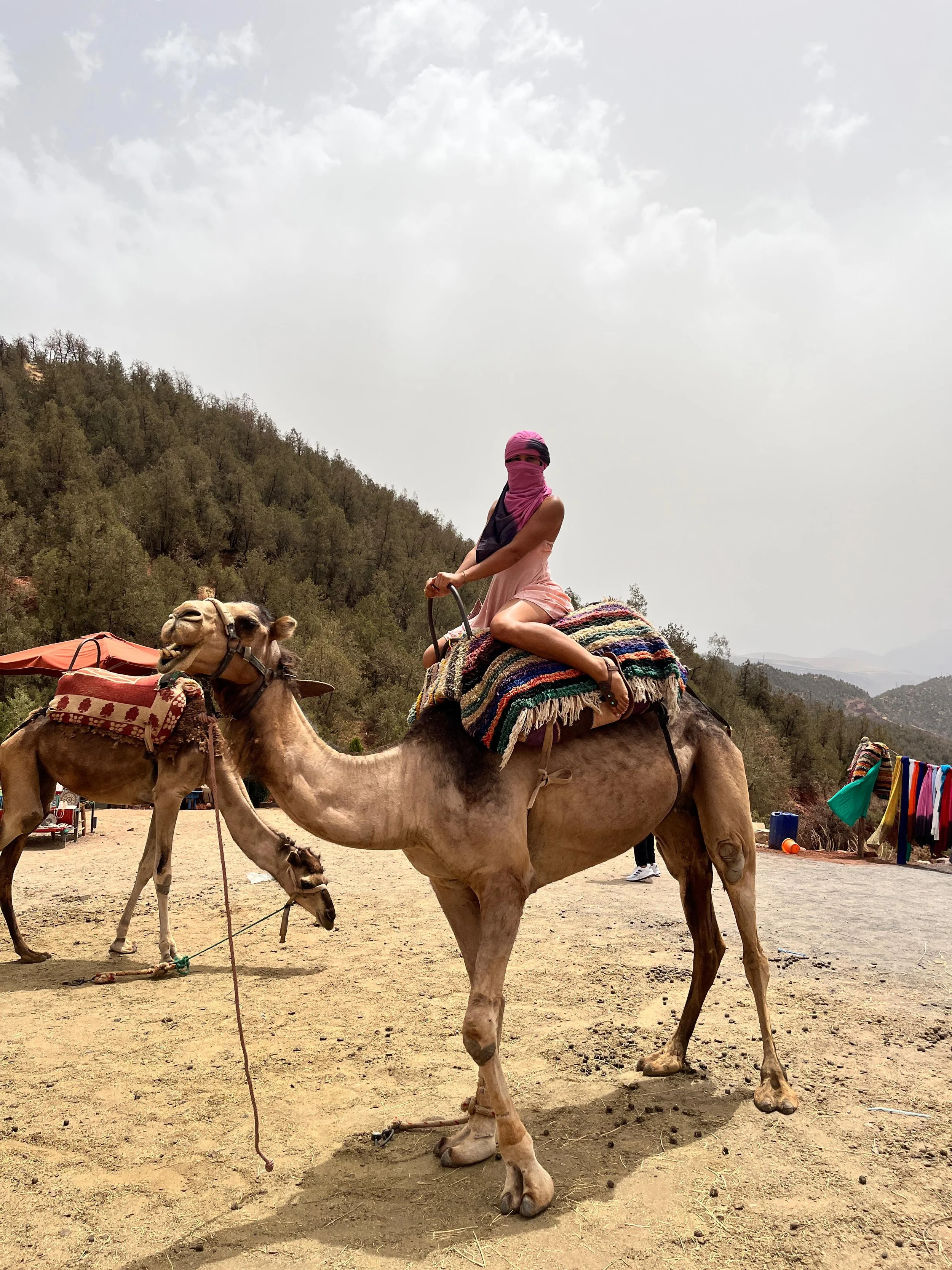 WhatsApp Image 2025-09-23 at 15.02.21.jpeg