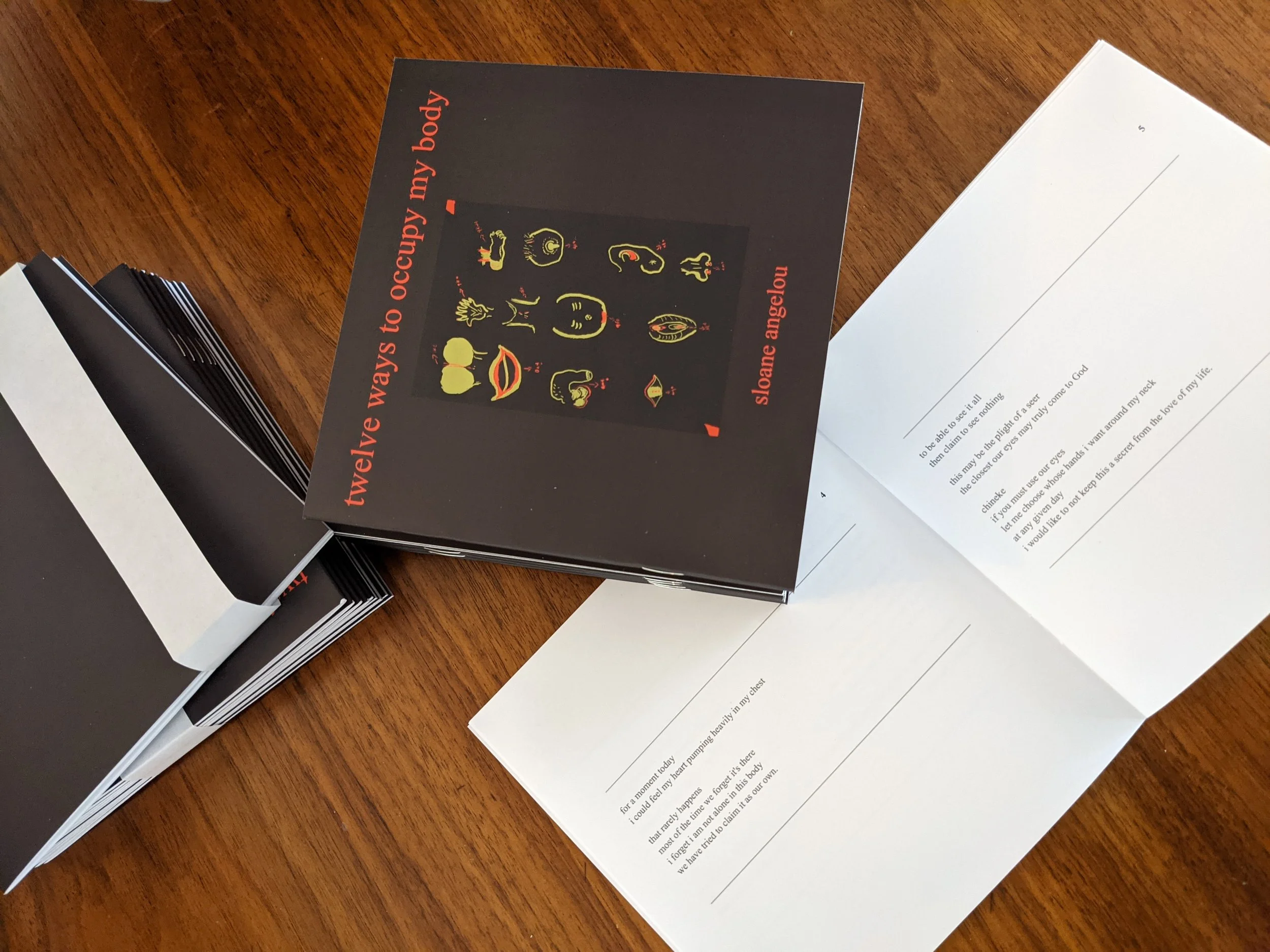 12 ways to occupy.JPEG