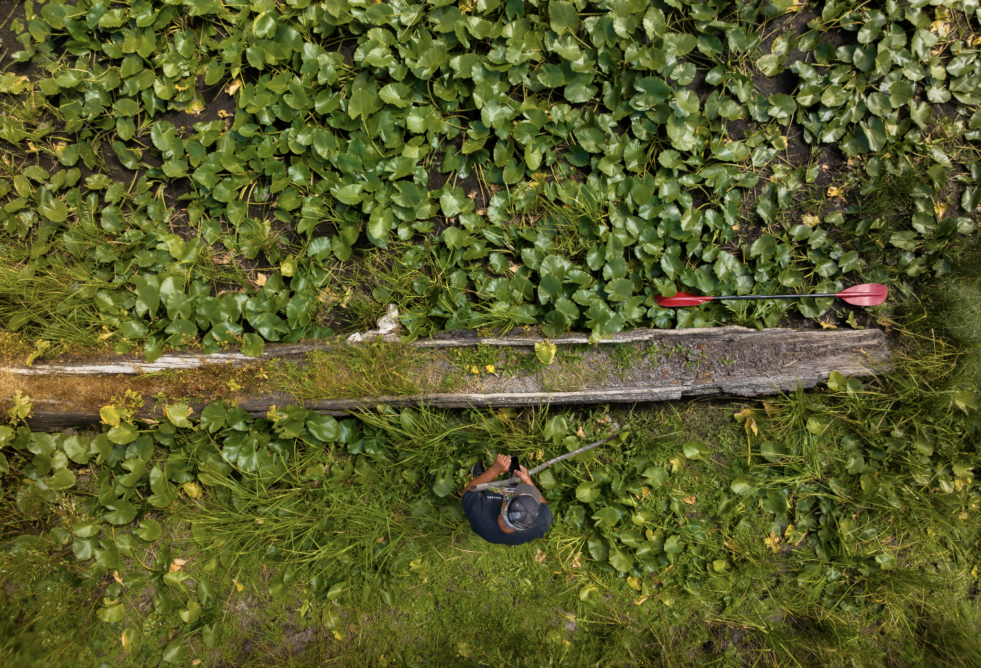 Traditional Dugout Canoe Workshop