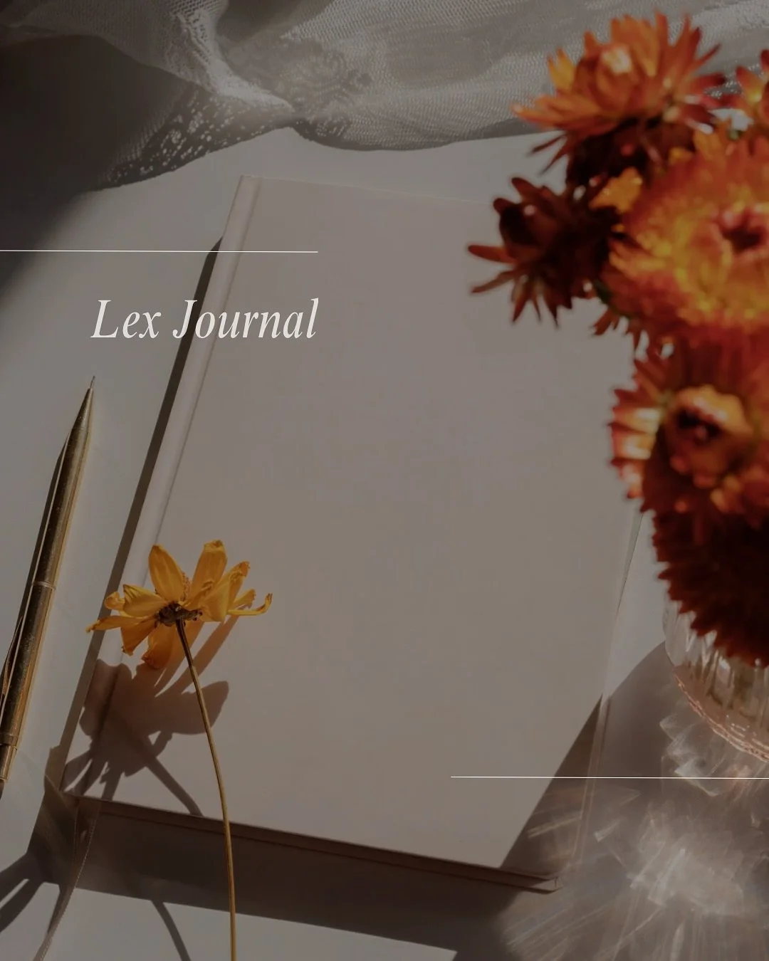 Med knjigami in pogumom ✨🍂🍁

Oktober prina&scaron;a nove občutke in začetek ponovnega &scaron;tudija.
Prva predavanja &ndash; družinsko in dedno pravo &ndash; so že za mano.
Če sem se v 1. letniku srečevala z vsebinami, ki sem jih včasih občutila t