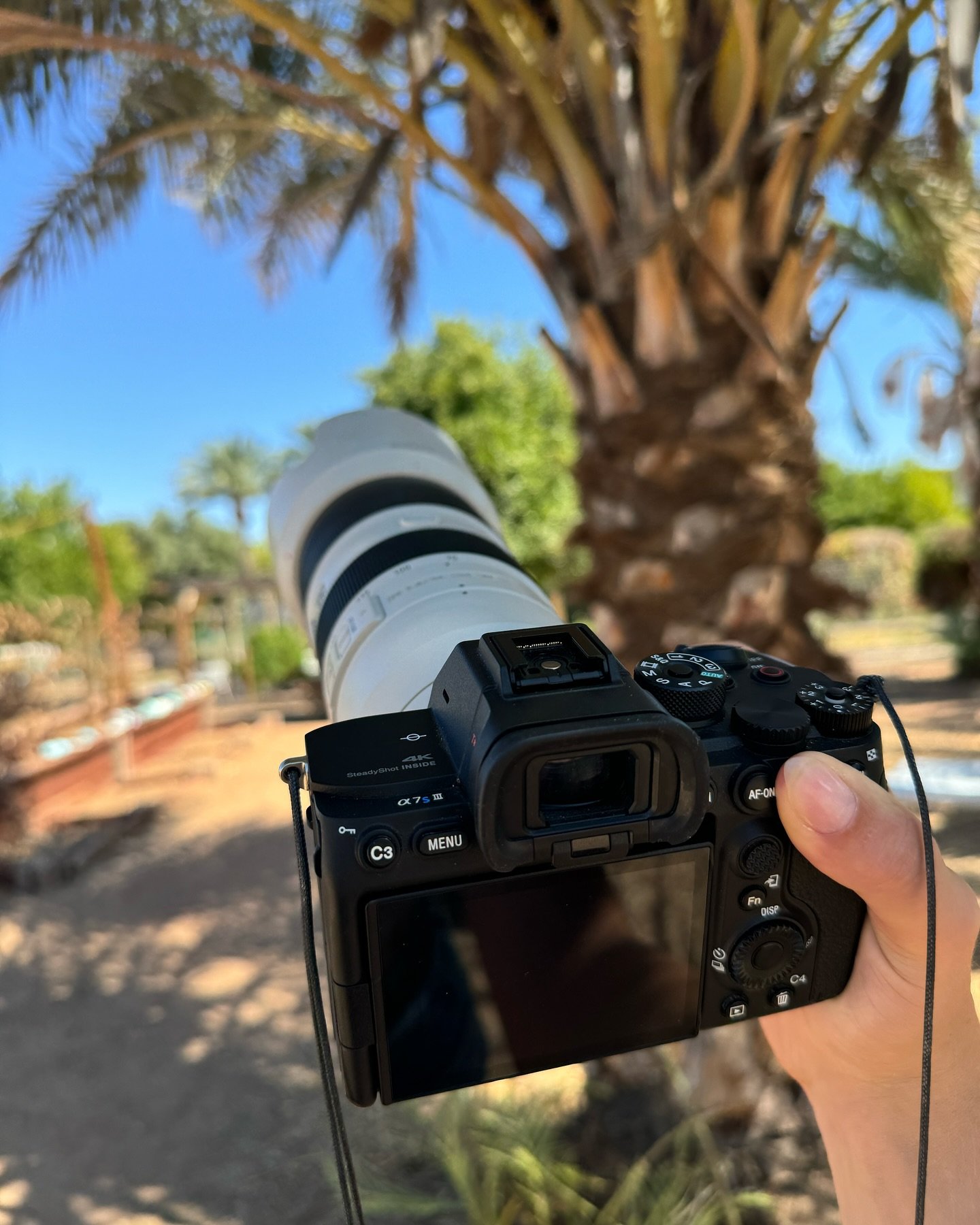 Hey, we made it! ☀️

It&rsquo;s FINALLY Photography season! 🙌

We&rsquo;ve been seeing you all dressed up for school dances and visiting the farm in style, and we love it! 💃🕺 But before you plan your next photo shoot, let&rsquo;s talk about the do