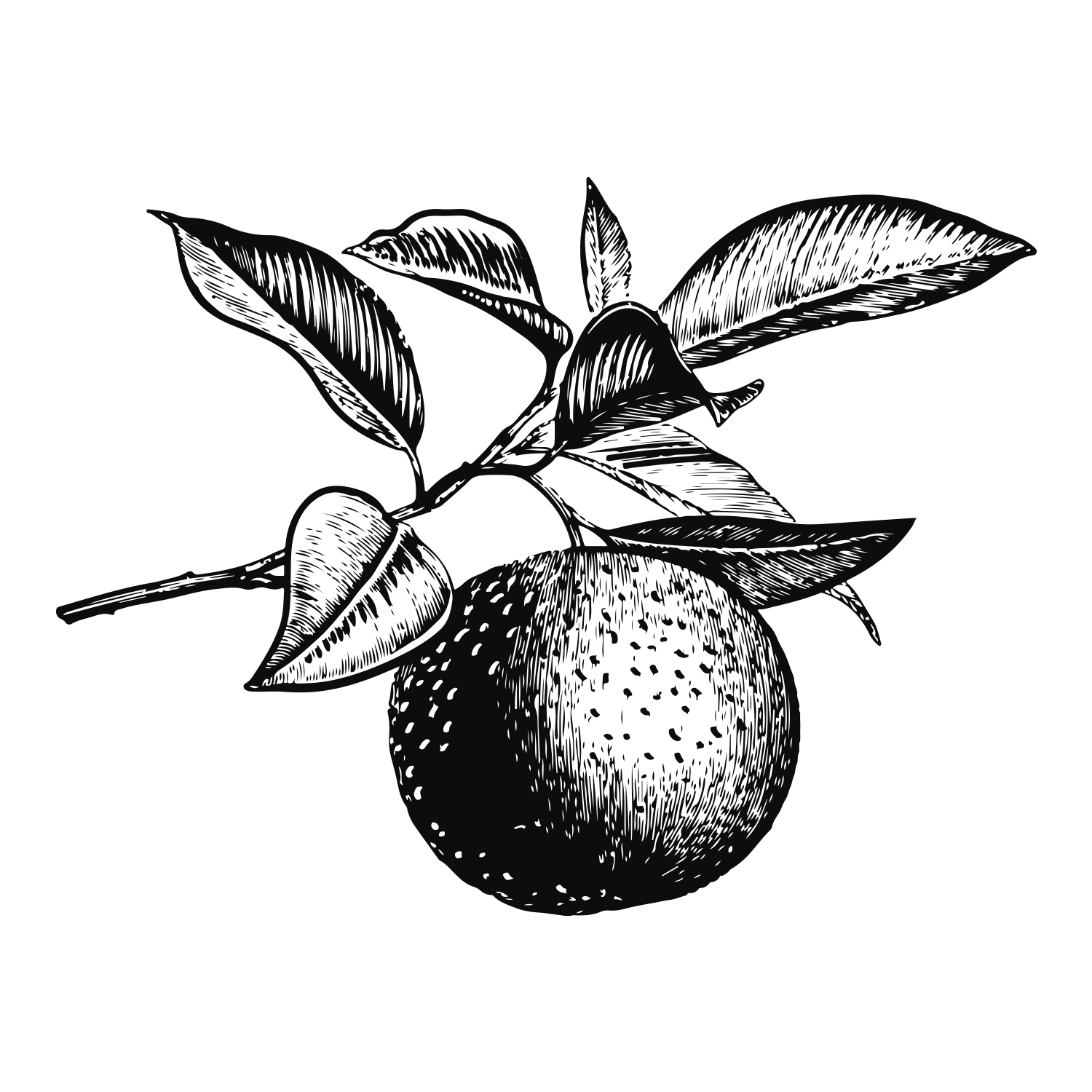 Agritopia Farm Night
