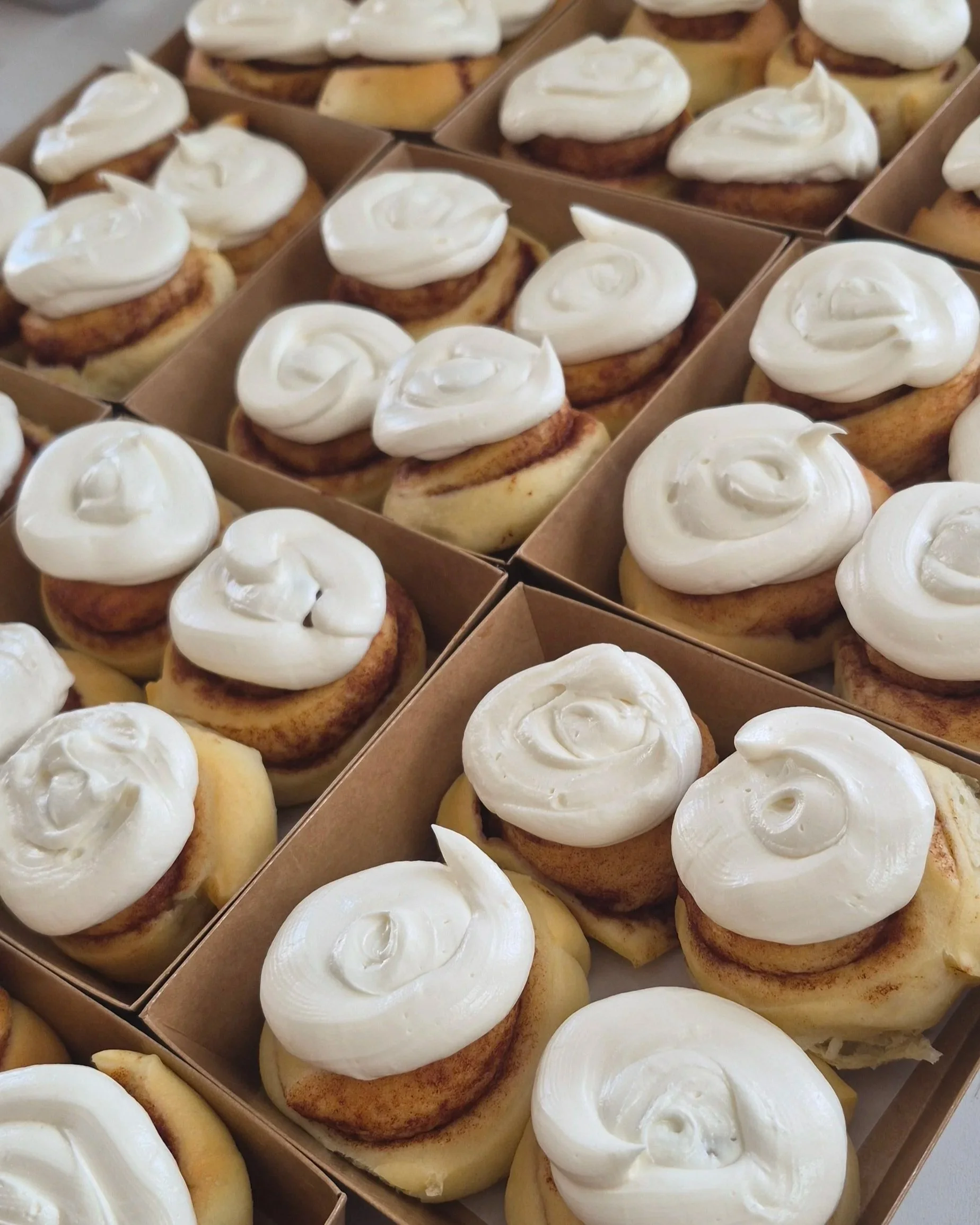 Sonoran Swirls 