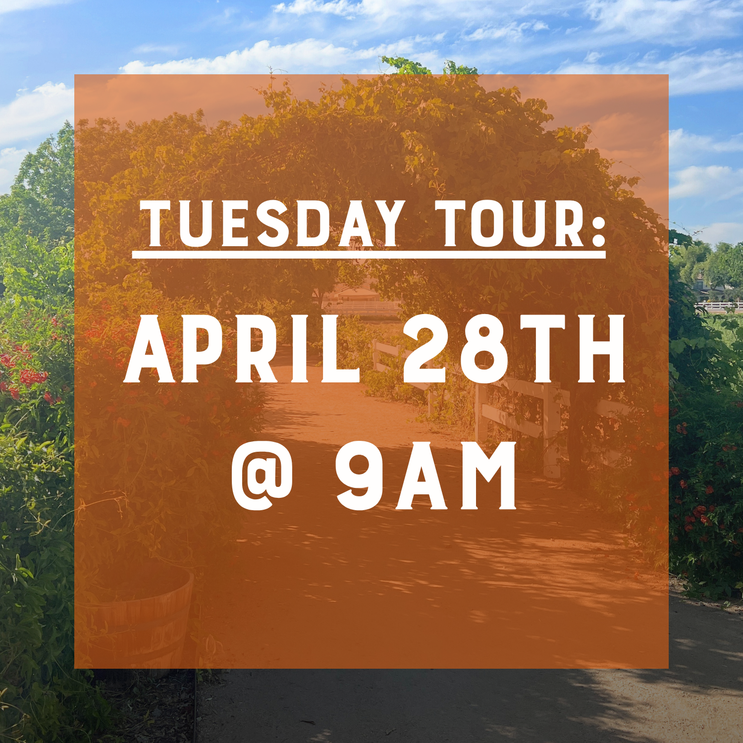 Tuesday Tour - April 28th @ 9am
