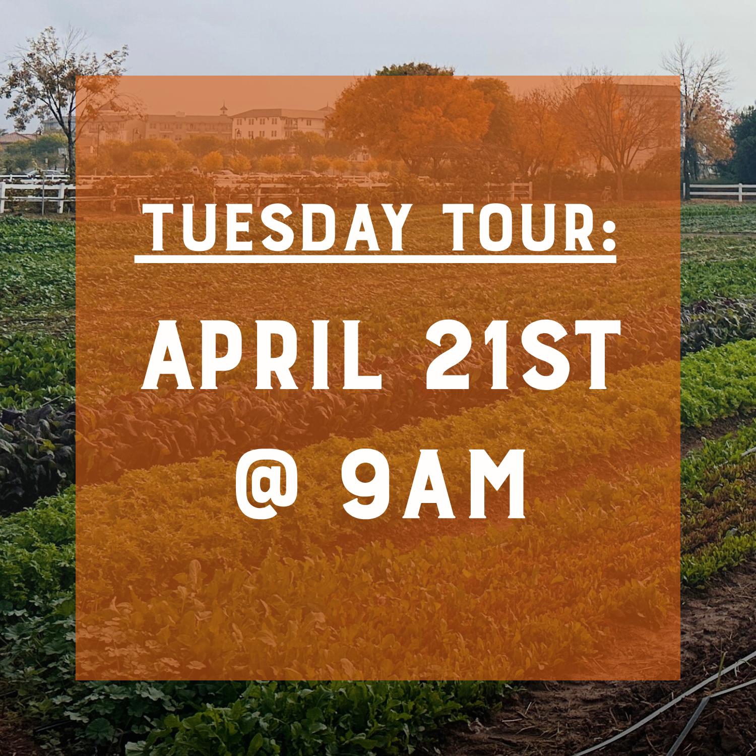 Tuesday Tour - April 21st @ 9am