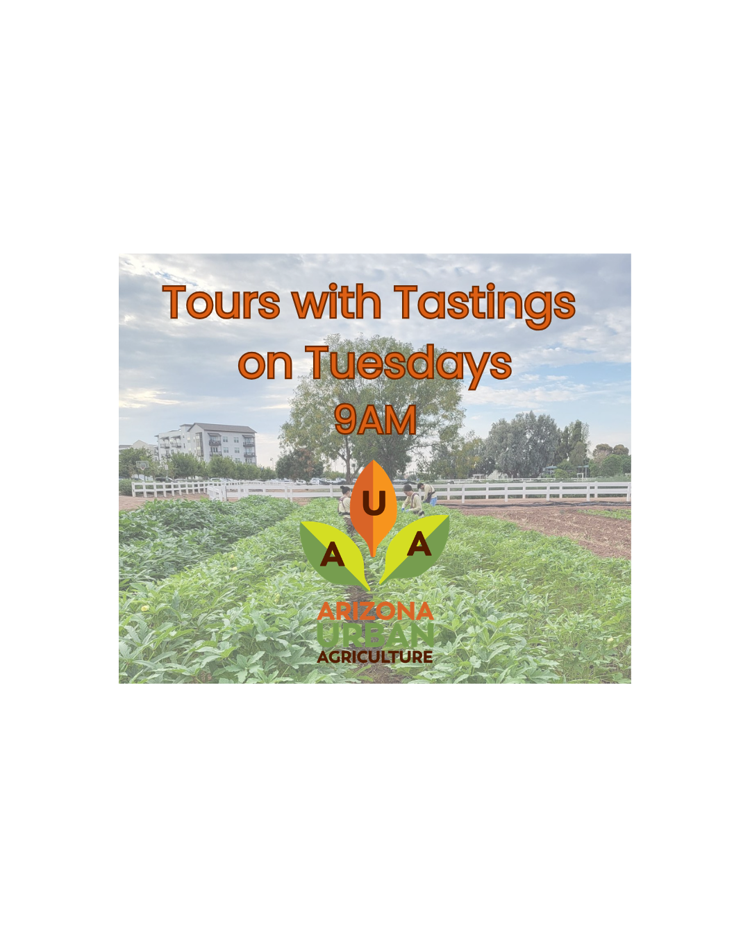 Tuesday Tour -Nov 24 @ 9AM (Copy) (Copy)