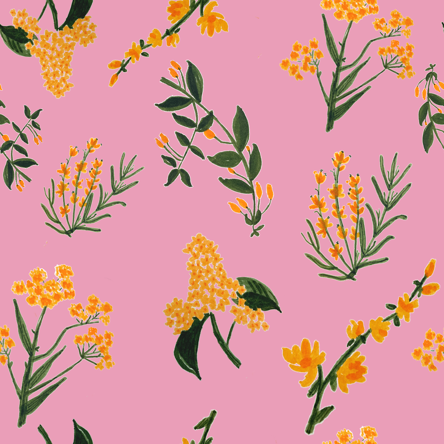 Pin k_orangeBlossoms.png