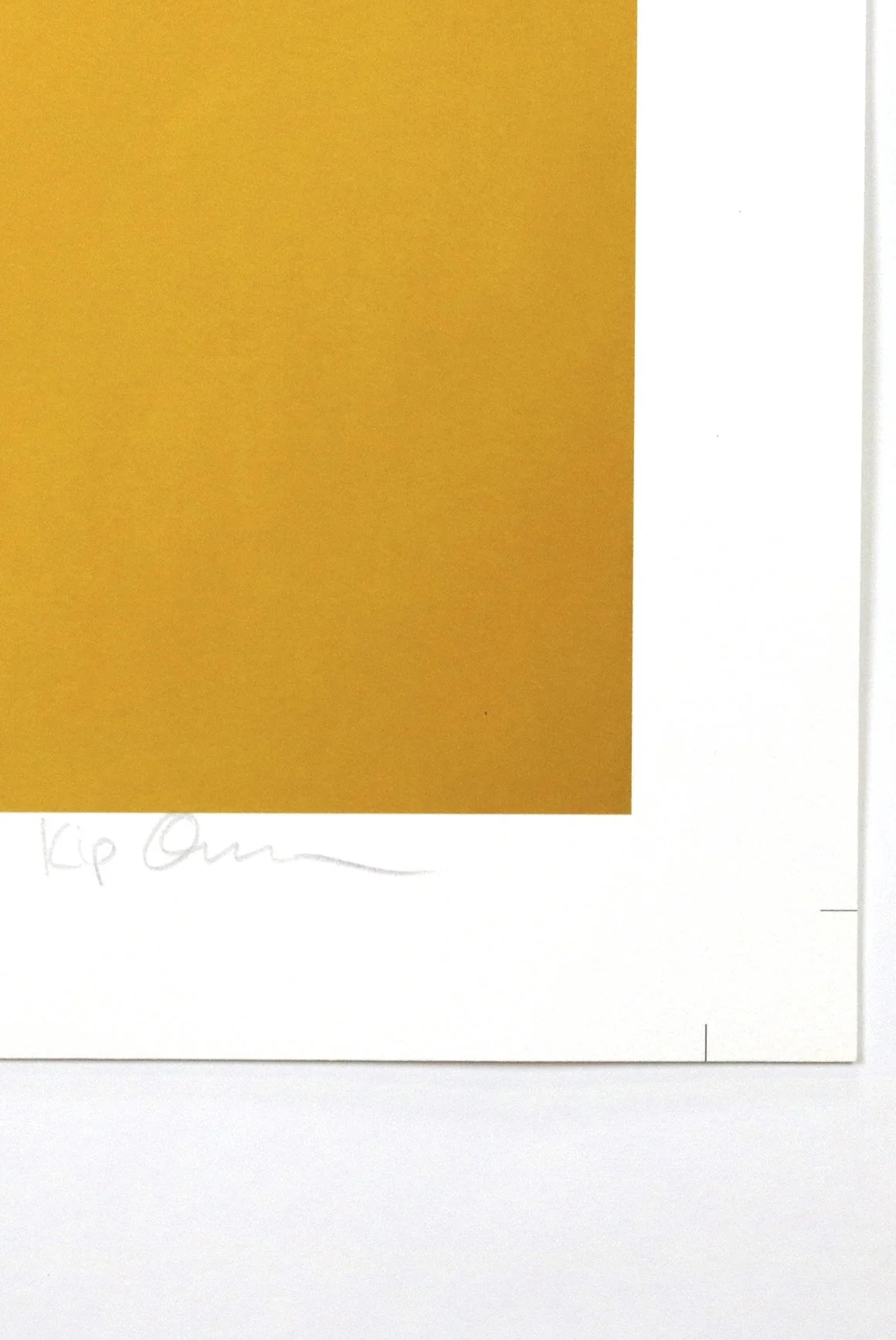 Kip Omolade Diovadiova Chrome Kitty Cash V TImes Sq Signature.jpg