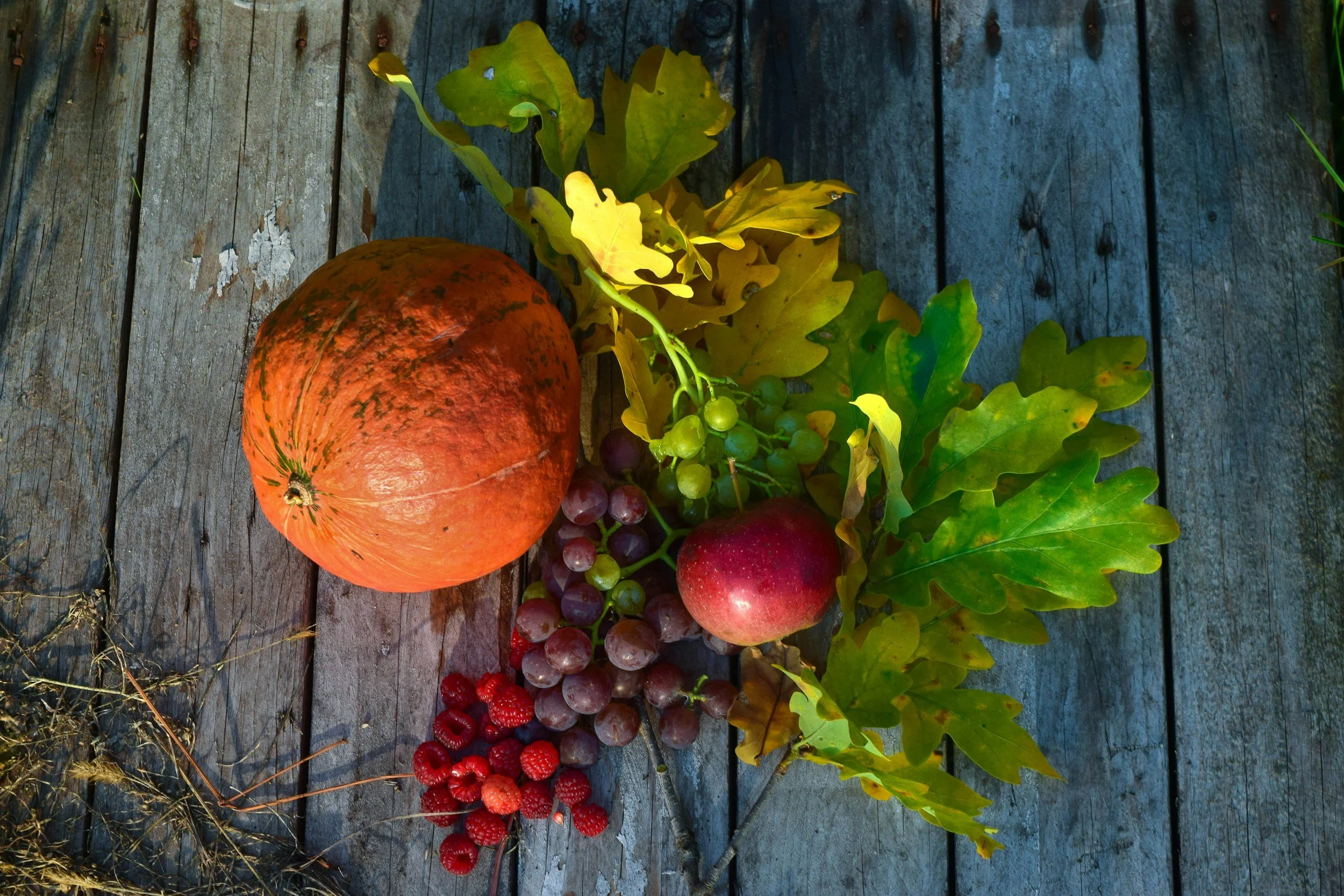 Trivia with Erik-Autumn Fruits