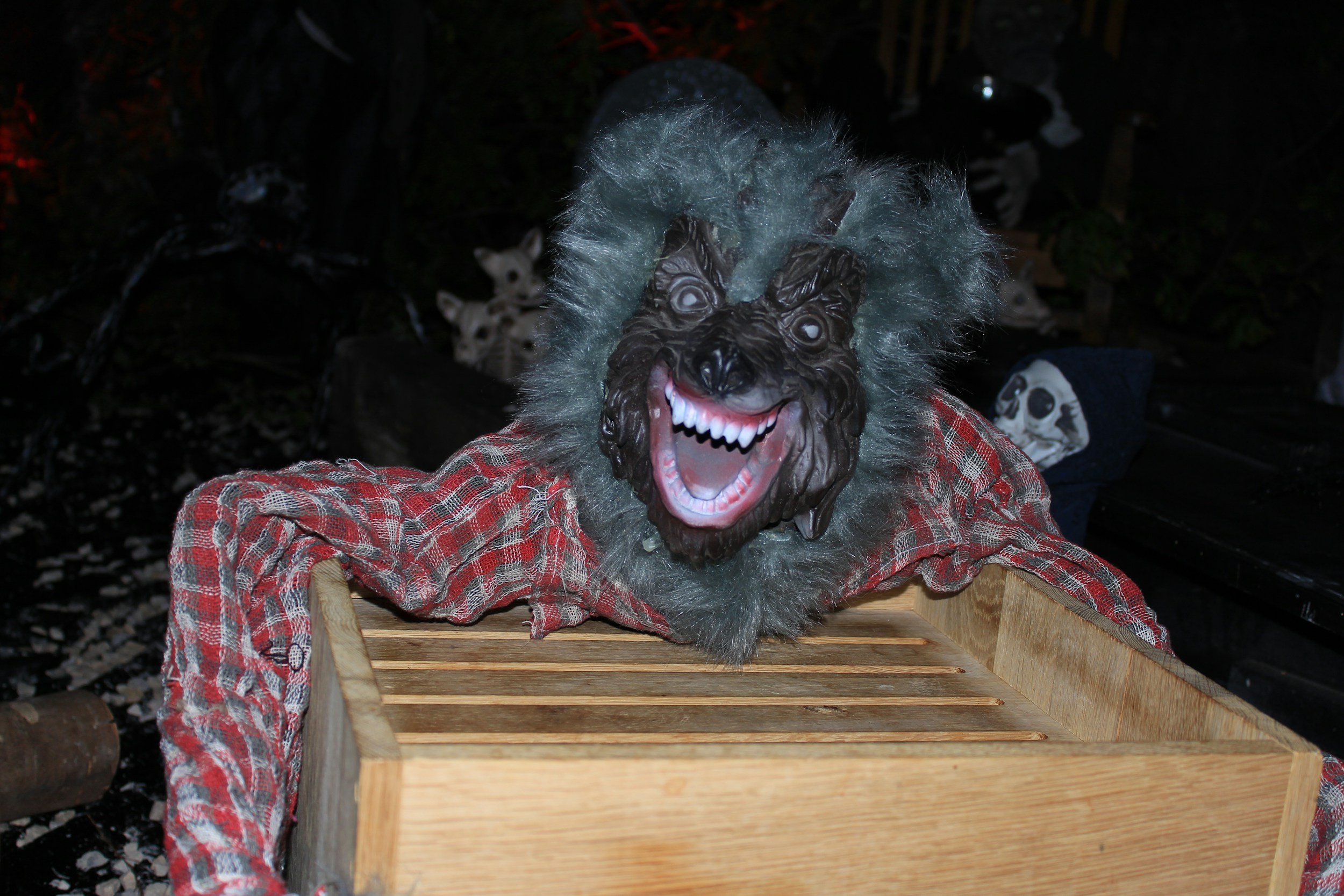 Trivia - Vampires, Werewolves &amp; Creepies - Tom