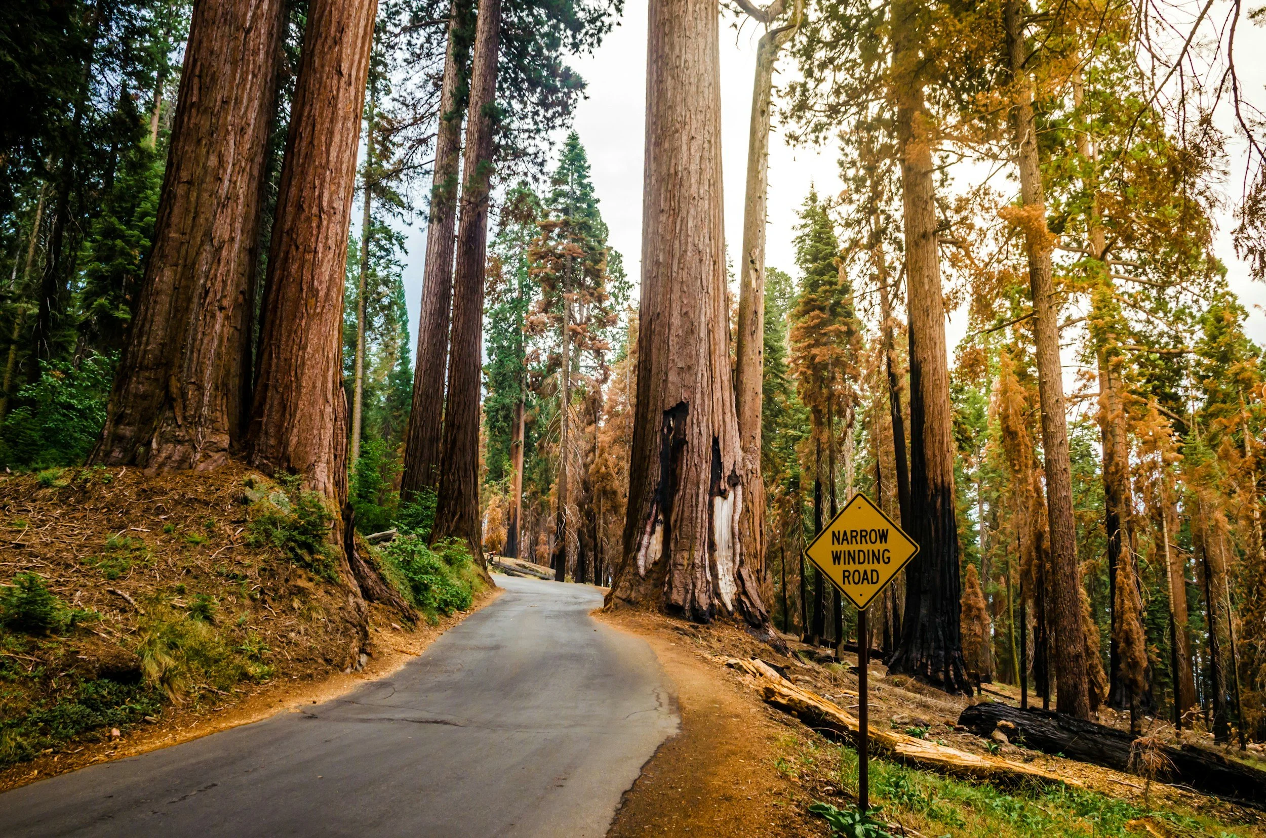 Trivia with Brian-National Parks